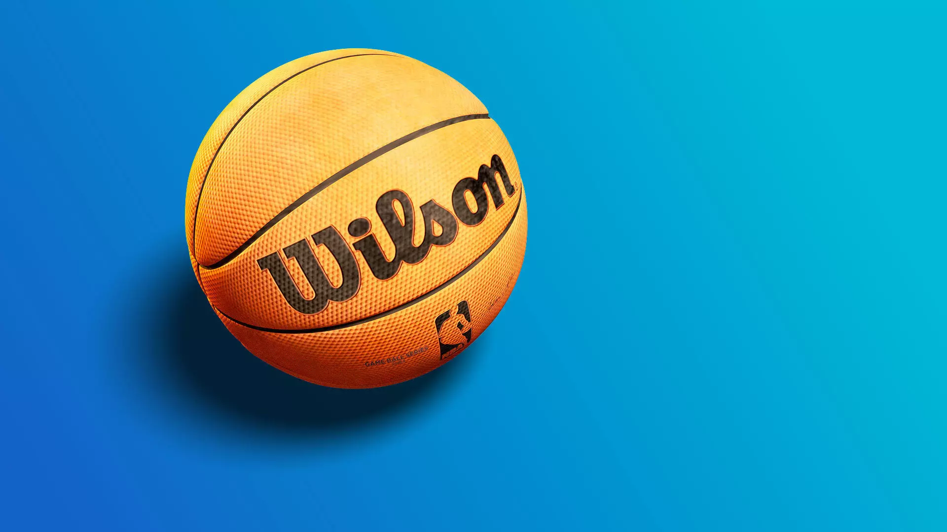 Wilson Basketball 3D Model 3D model_1