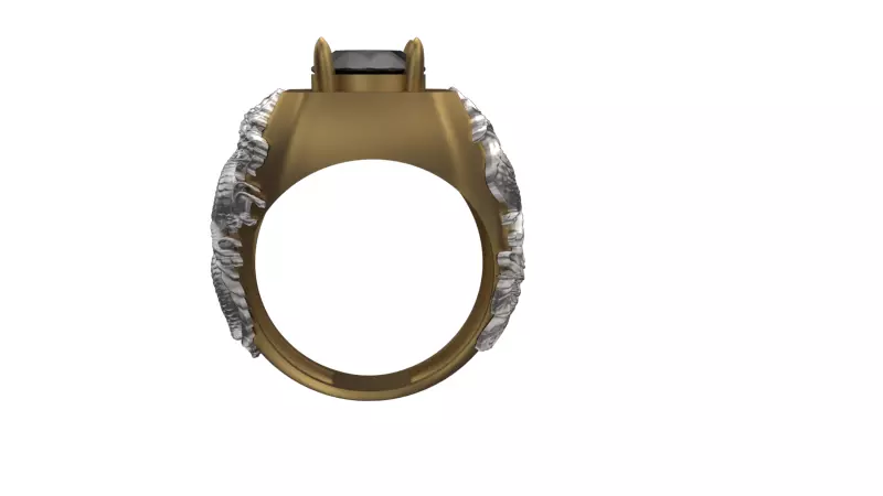 a dragon and bird combined ring 3D print model_5