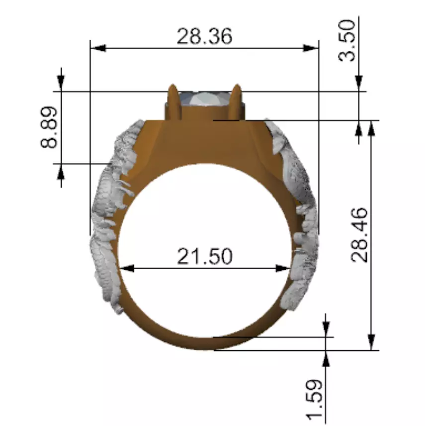 a dragon and bird combined ring 3D print model_1