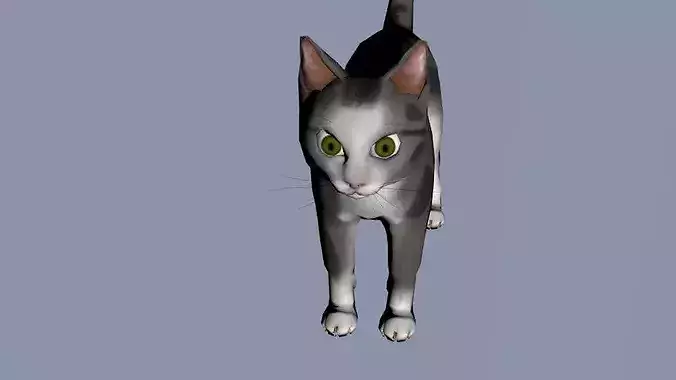 Grey and black Cat