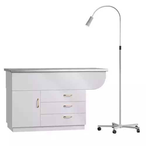 Veterinary examination table and examination lamp