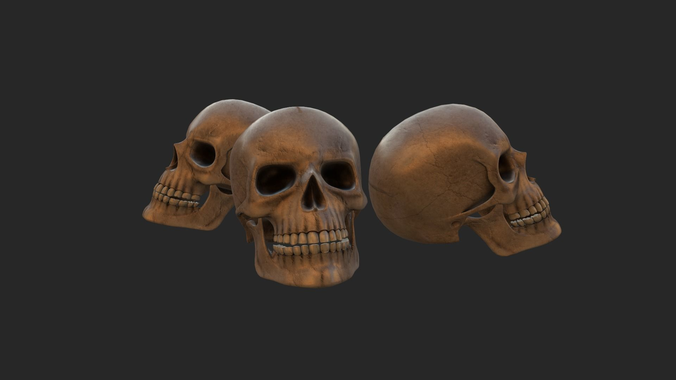 sKulllyy three skulls Free low-poly 3D model