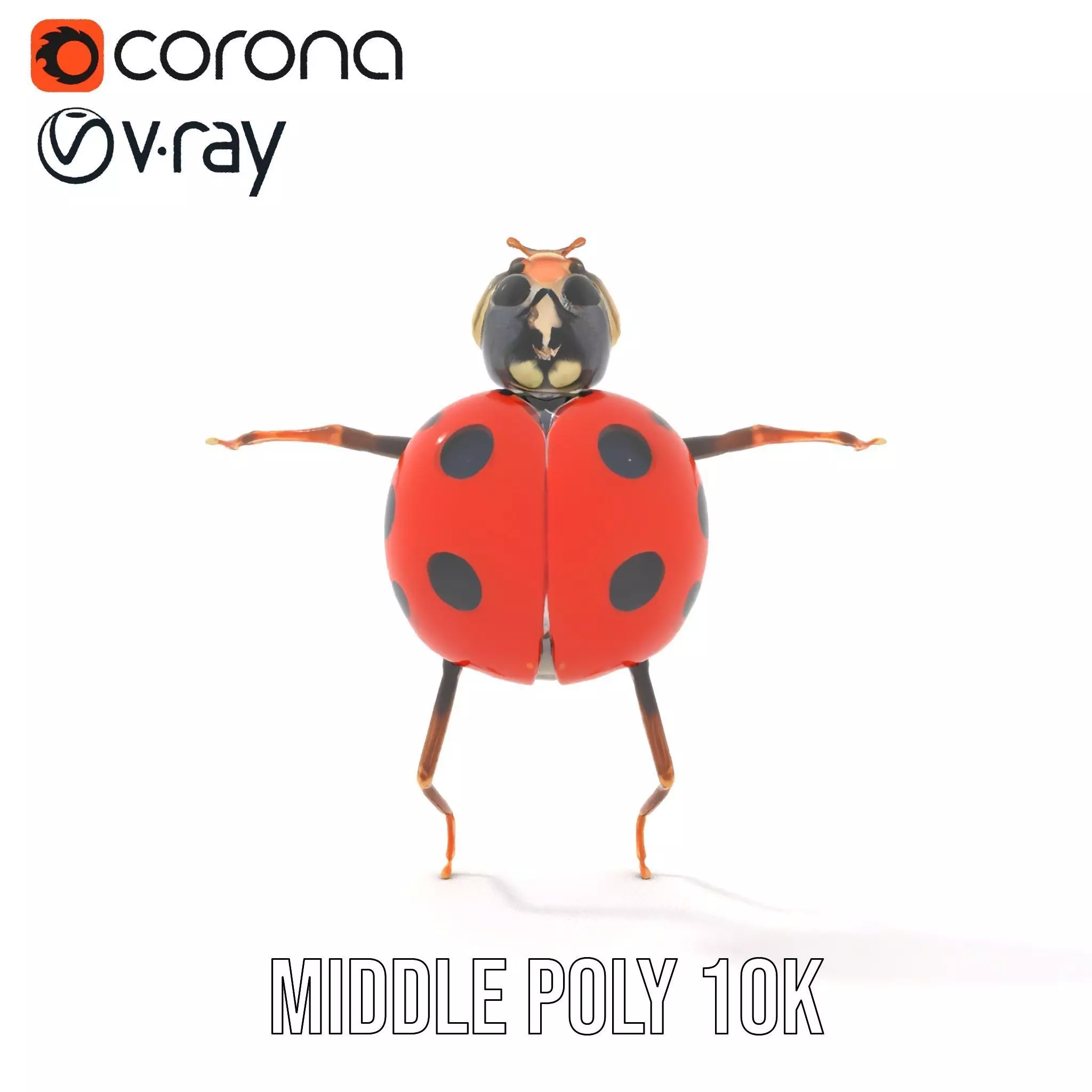Red Ladybug Insect model pack Low-poly 3D model_25