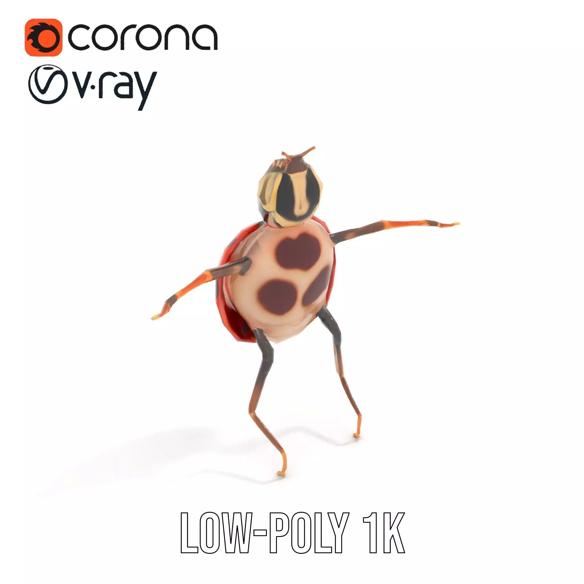 Red Ladybug Insect model pack Low-poly 3D model_23