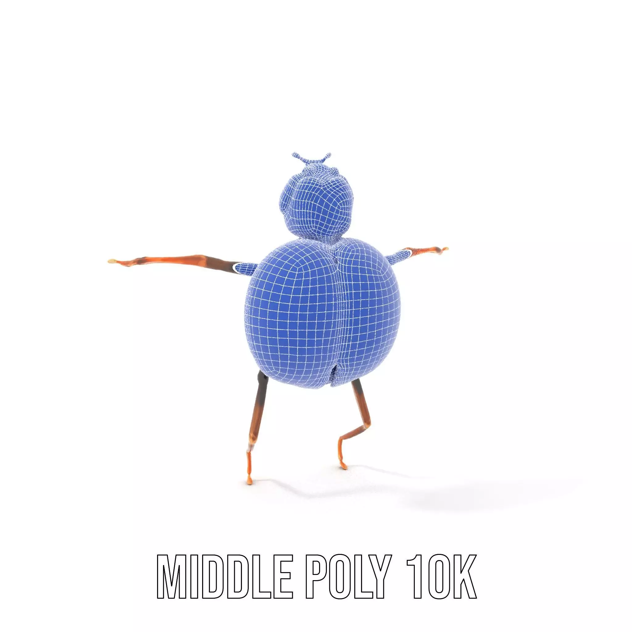 Red Ladybug Insect model pack Low-poly 3D model_11