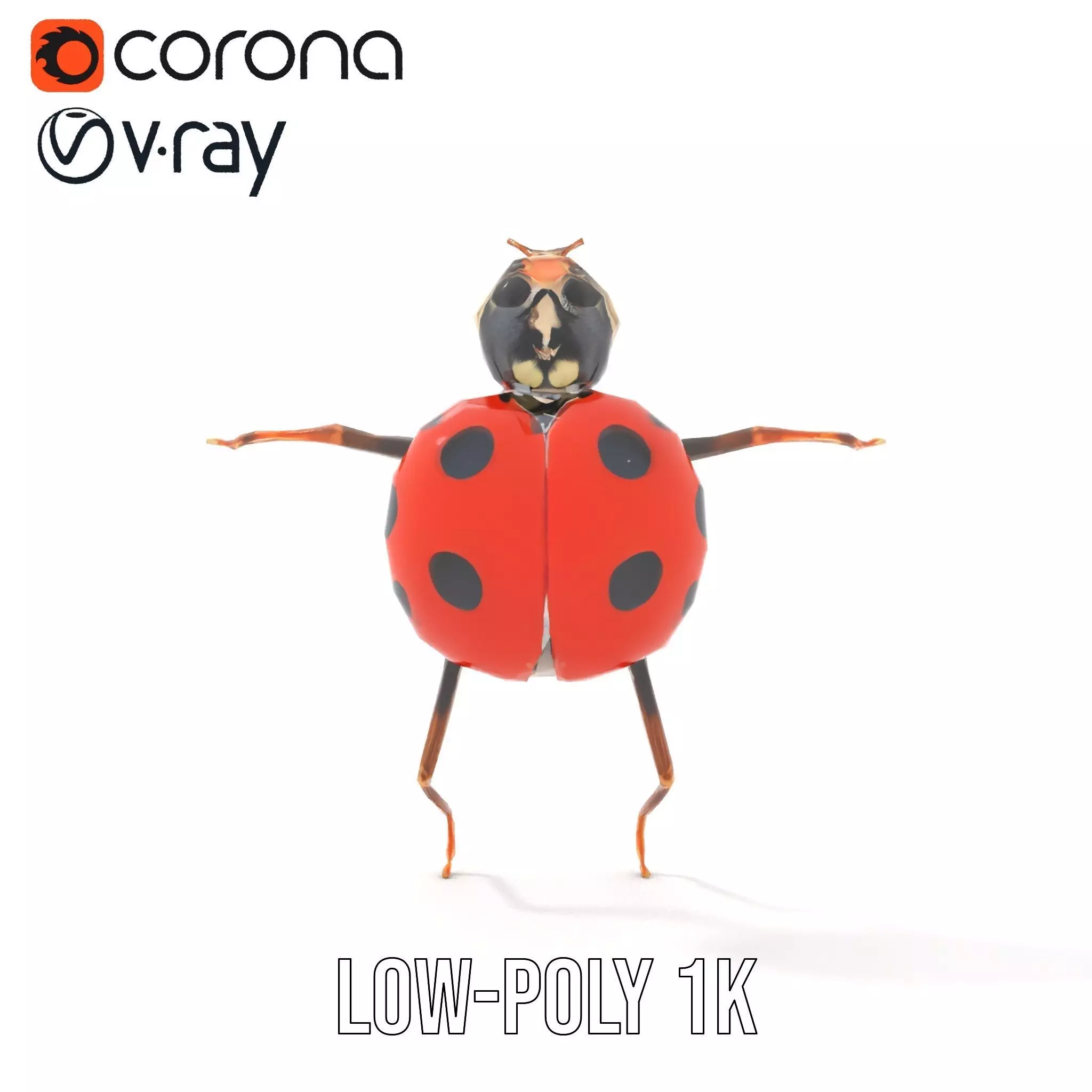 Red Ladybug Insect model pack Low-poly 3D model_8
