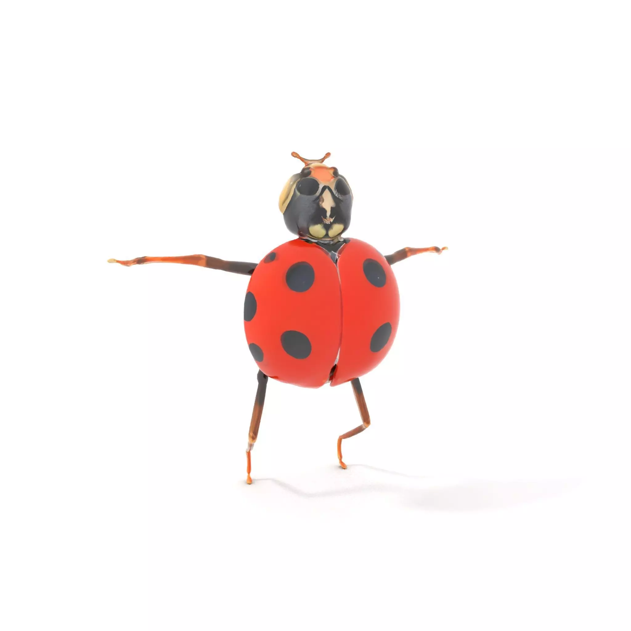 Red Ladybug Insect model pack Low-poly 3D model_7