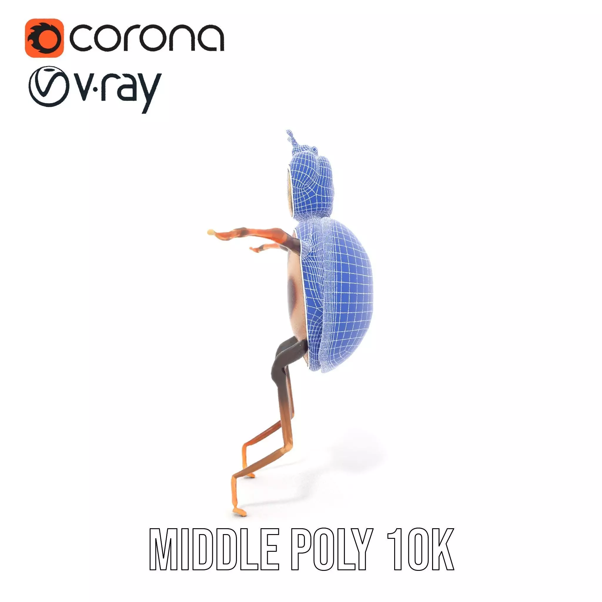 Red Ladybug Insect model pack Low-poly 3D model_14