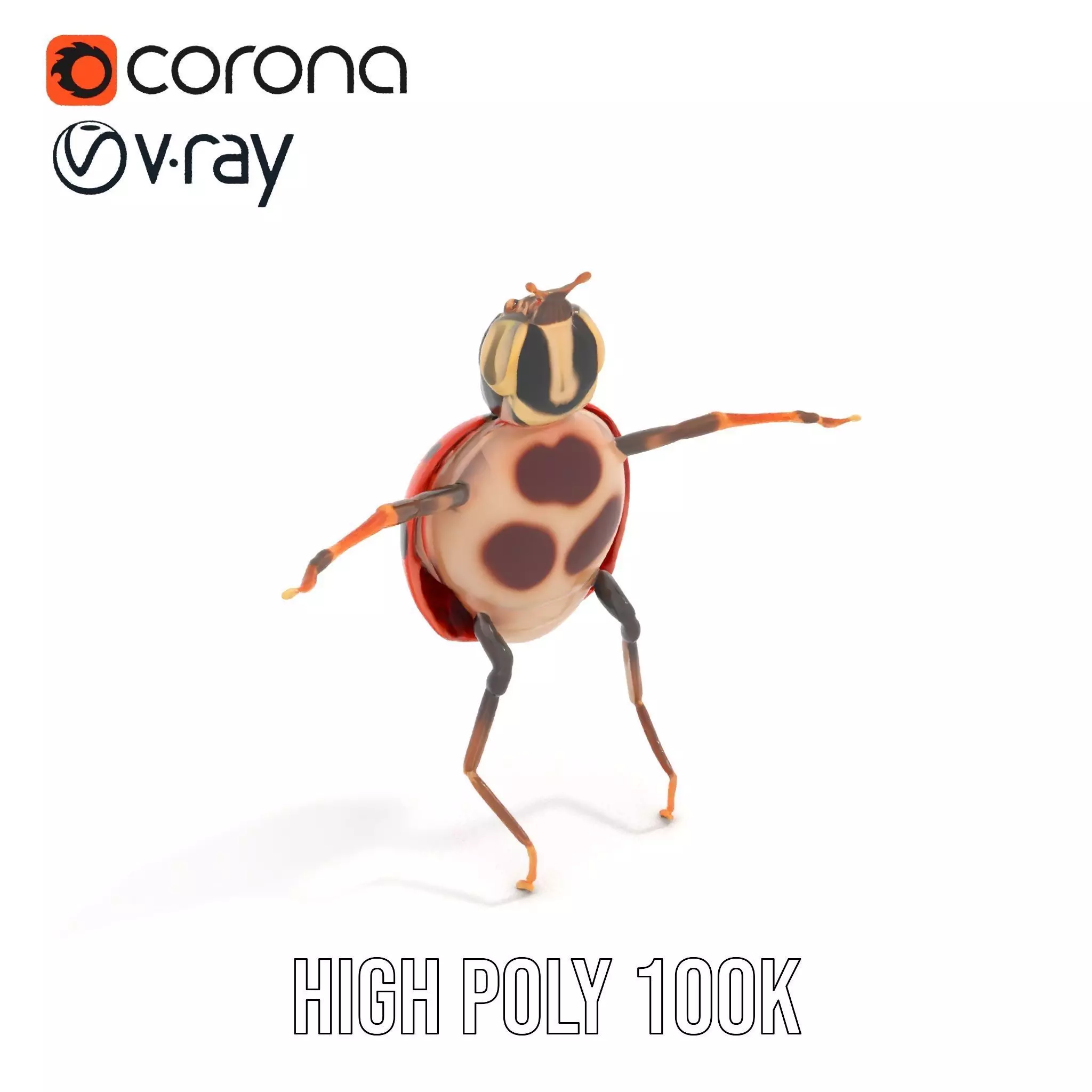 Red Ladybug Insect model pack Low-poly 3D model_27