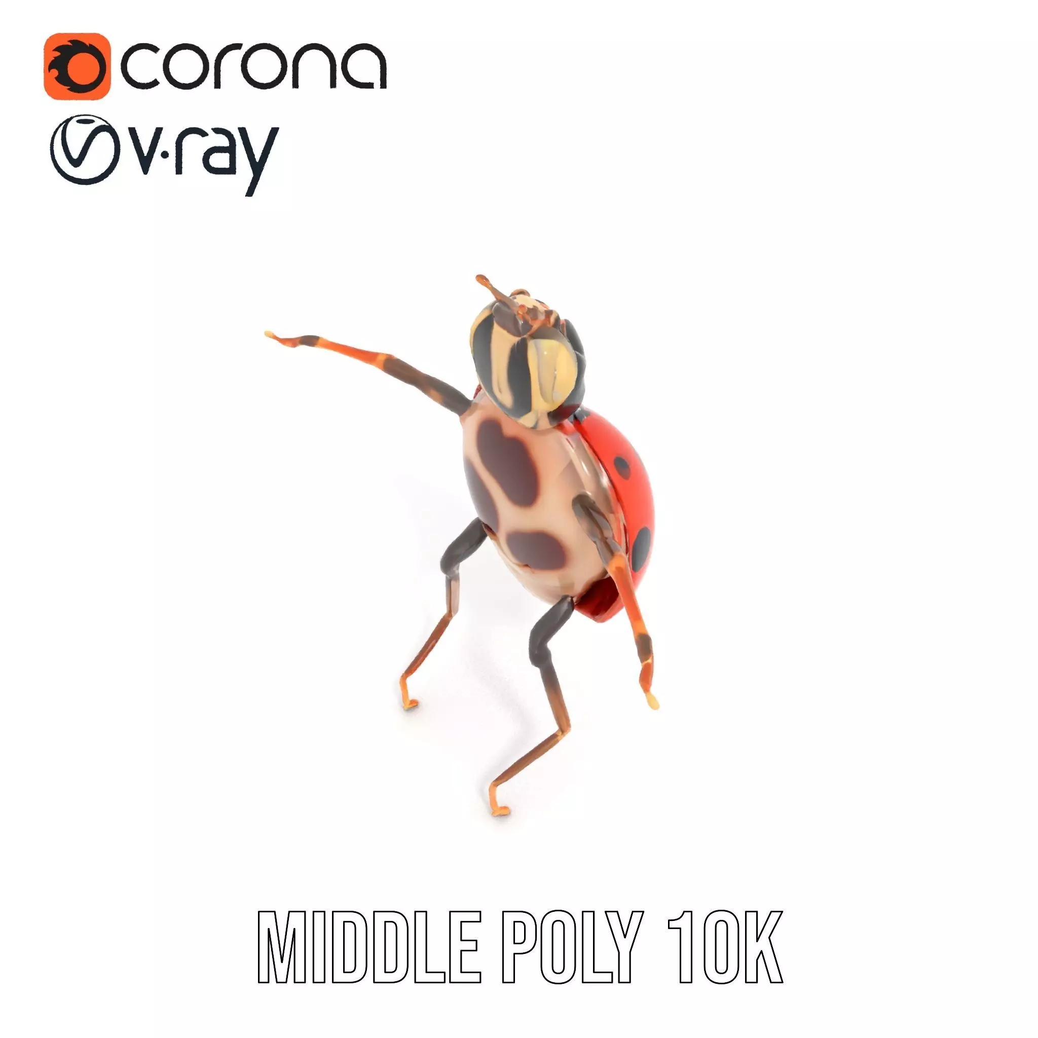 Red Ladybug Insect model pack Low-poly 3D model_17