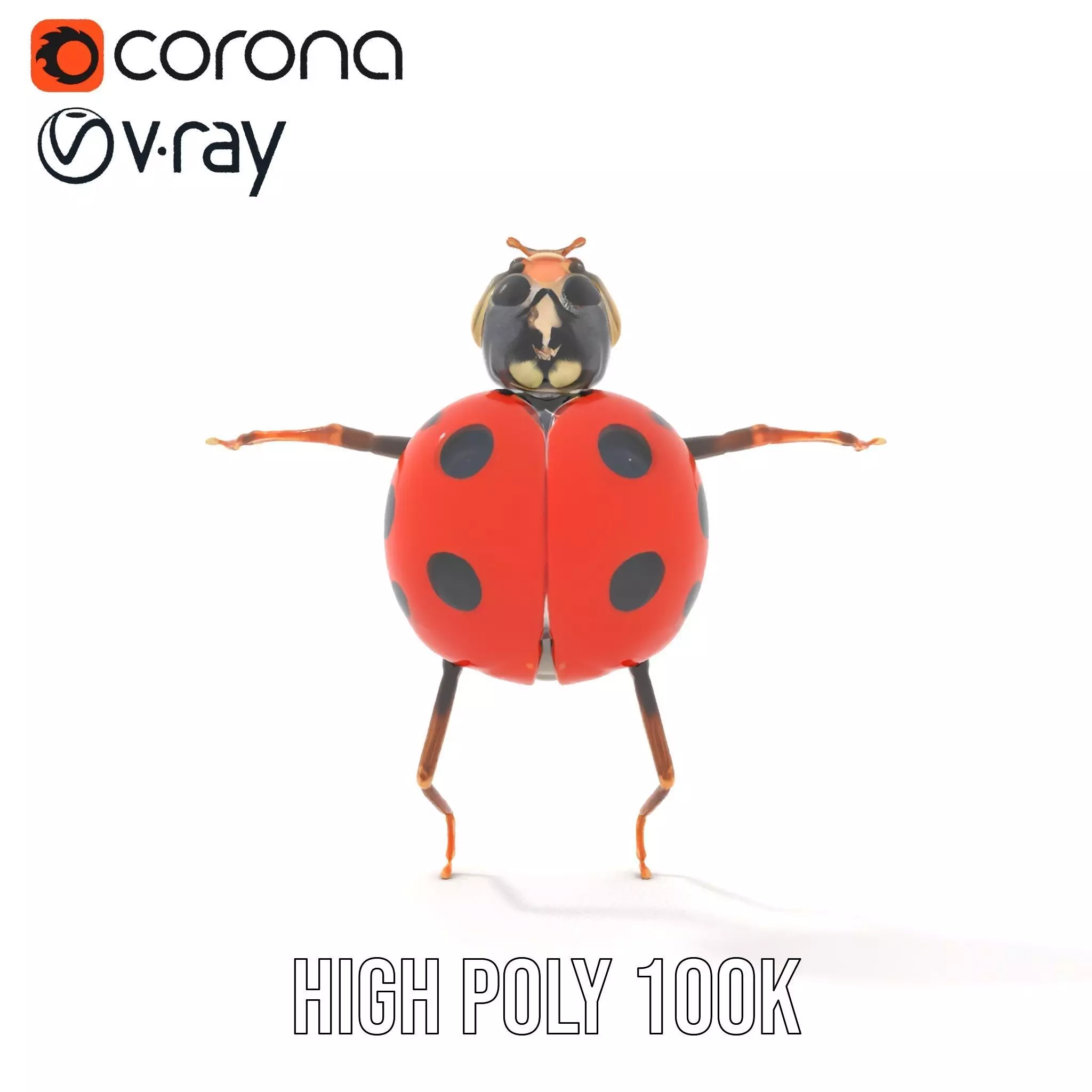 Red Ladybug Insect model pack Low-poly 3D model_16