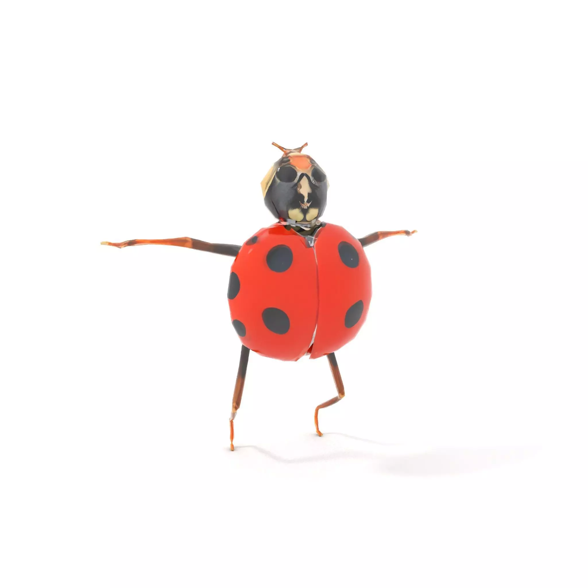 Red Ladybug Insect model pack Low-poly 3D model_12