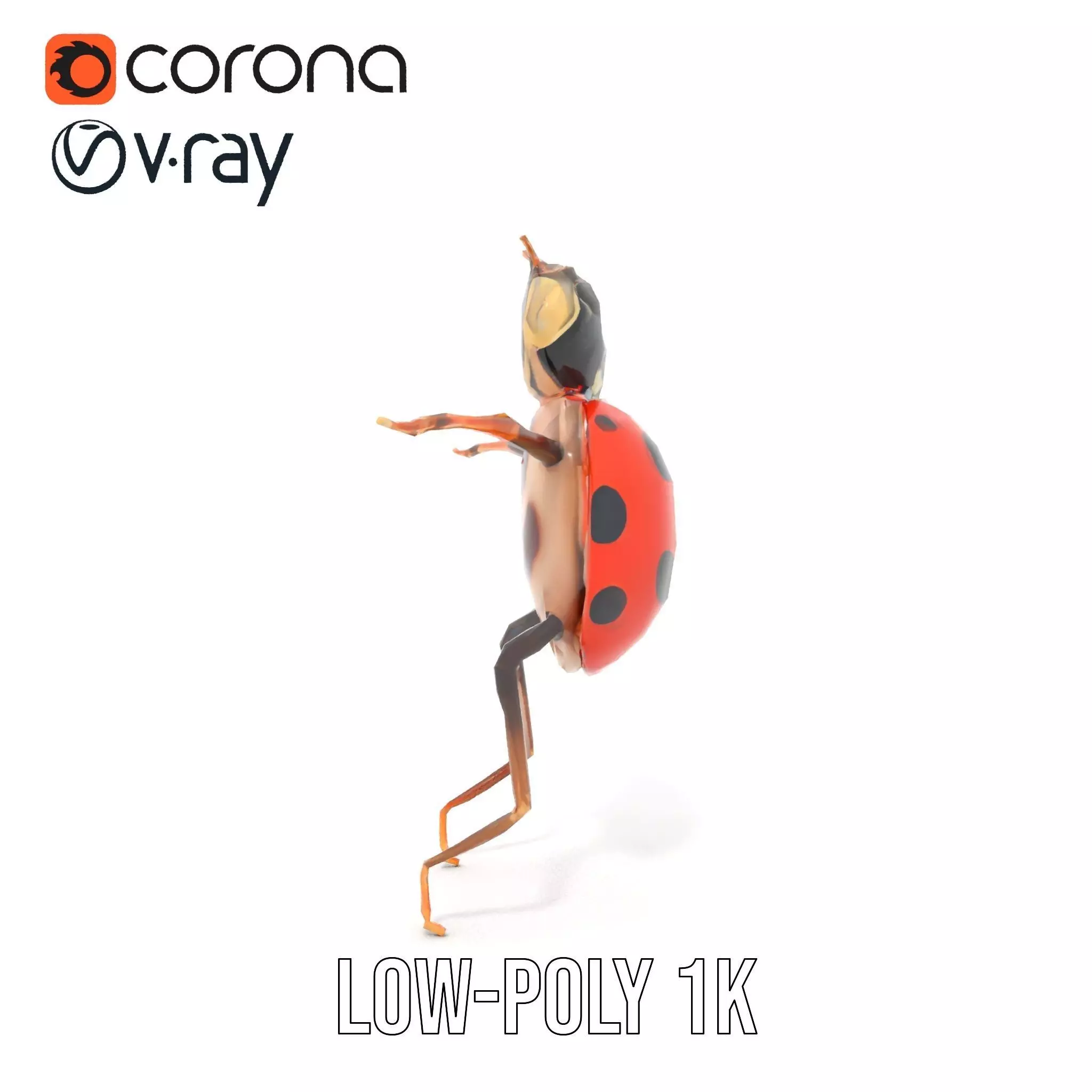 Red Ladybug Insect model pack Low-poly 3D model_10