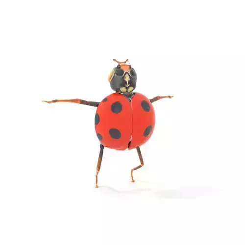 Red Ladybug Insect model pack Low-poly 3D model Red Ladybug Insect model pack Low-poly 3D model