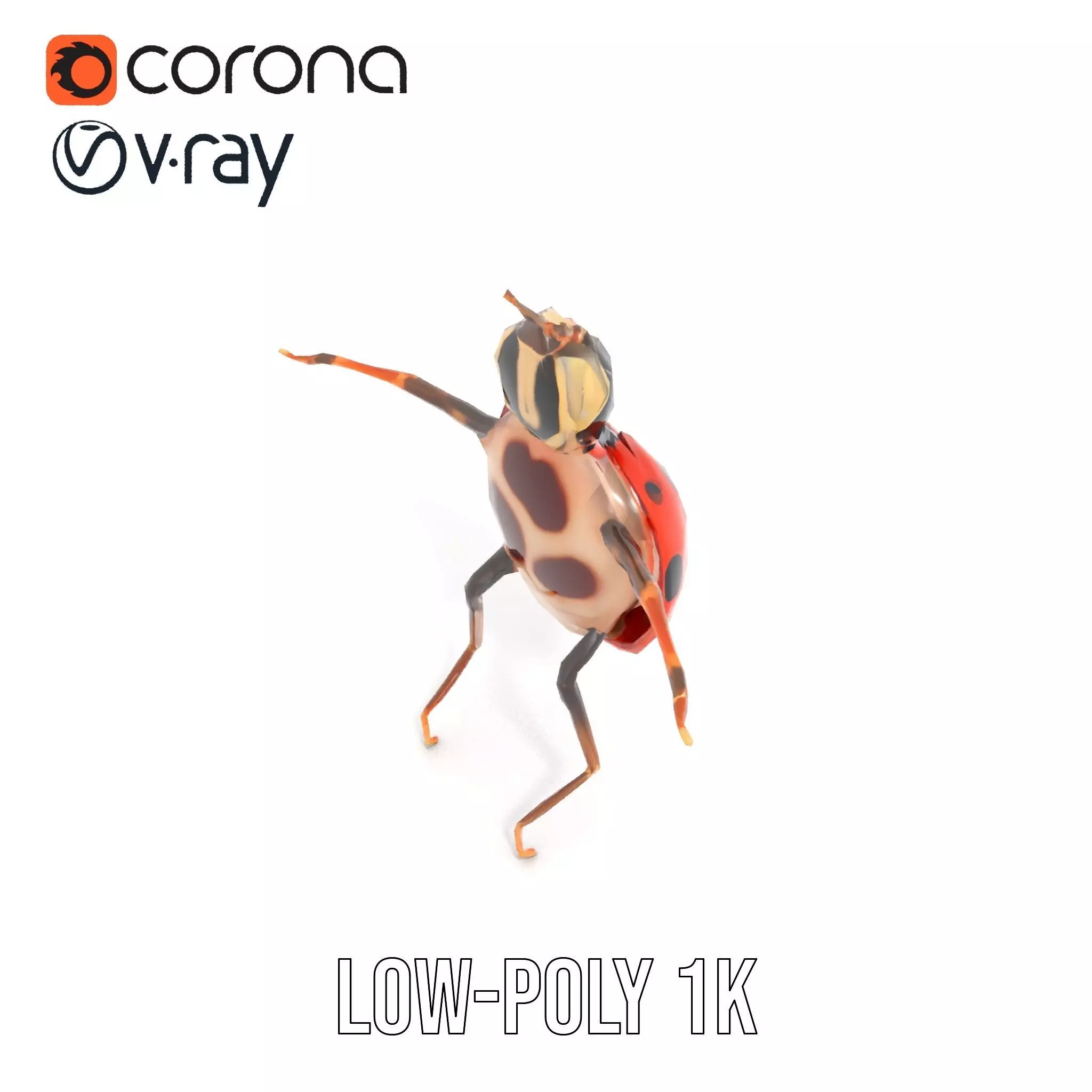 Red Ladybug Insect model pack Low-poly 3D model_29