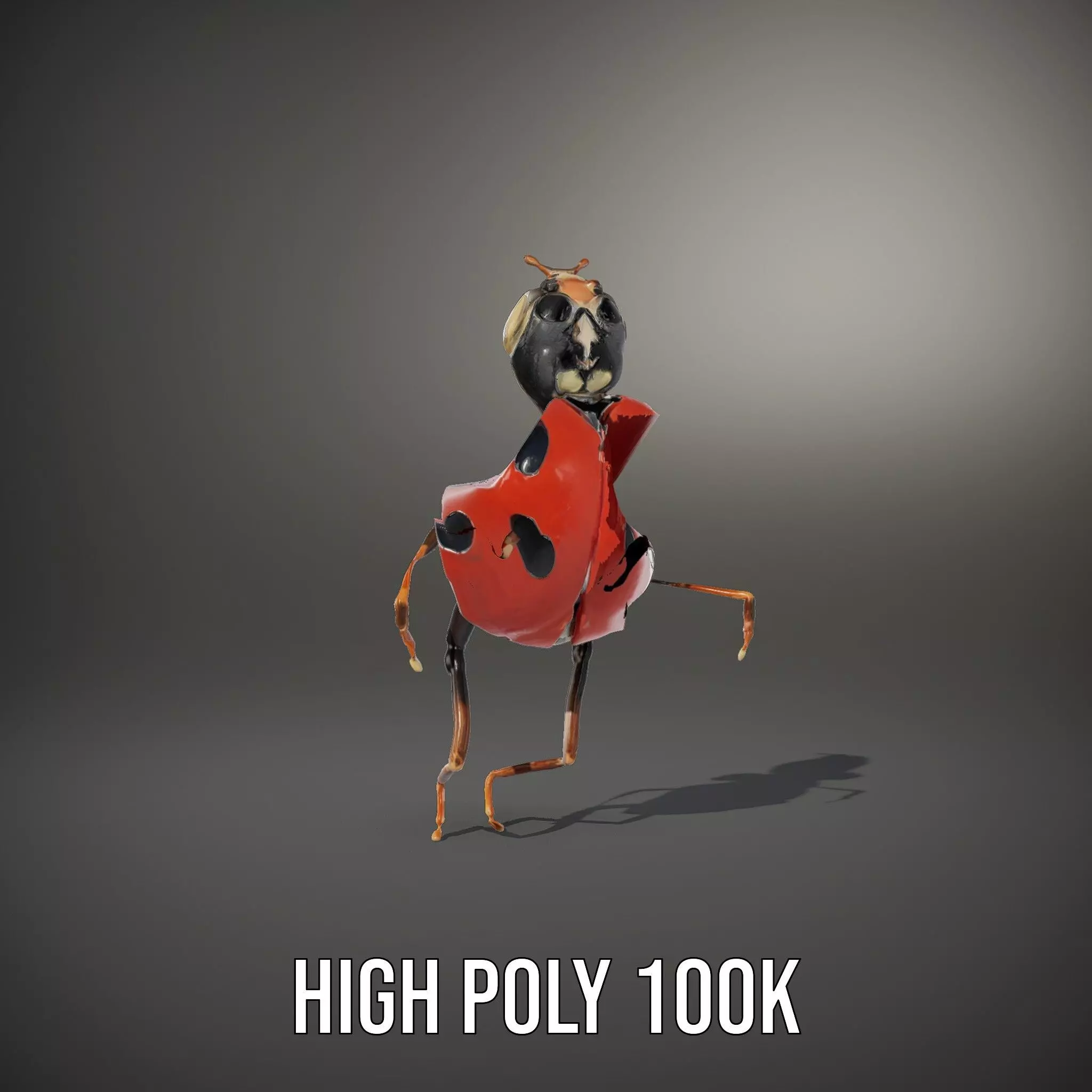 Red Ladybug Insect model pack Low-poly 3D model_13