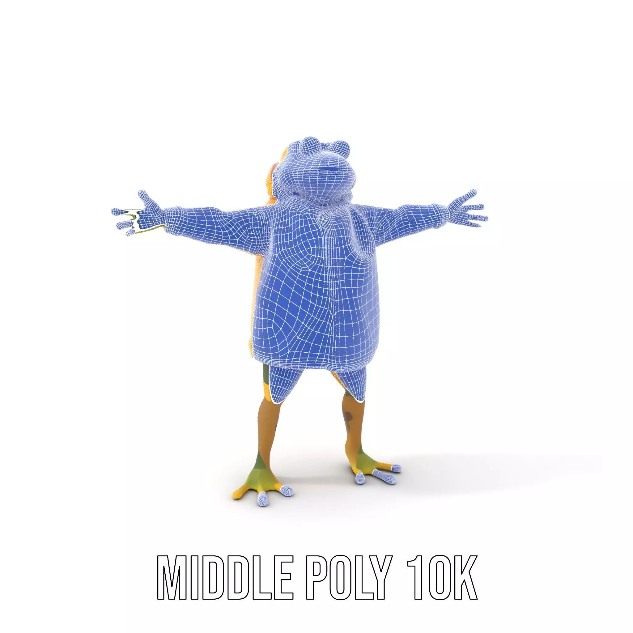 Cheerful Frog Raincoat model pack Low-poly 3D model_14