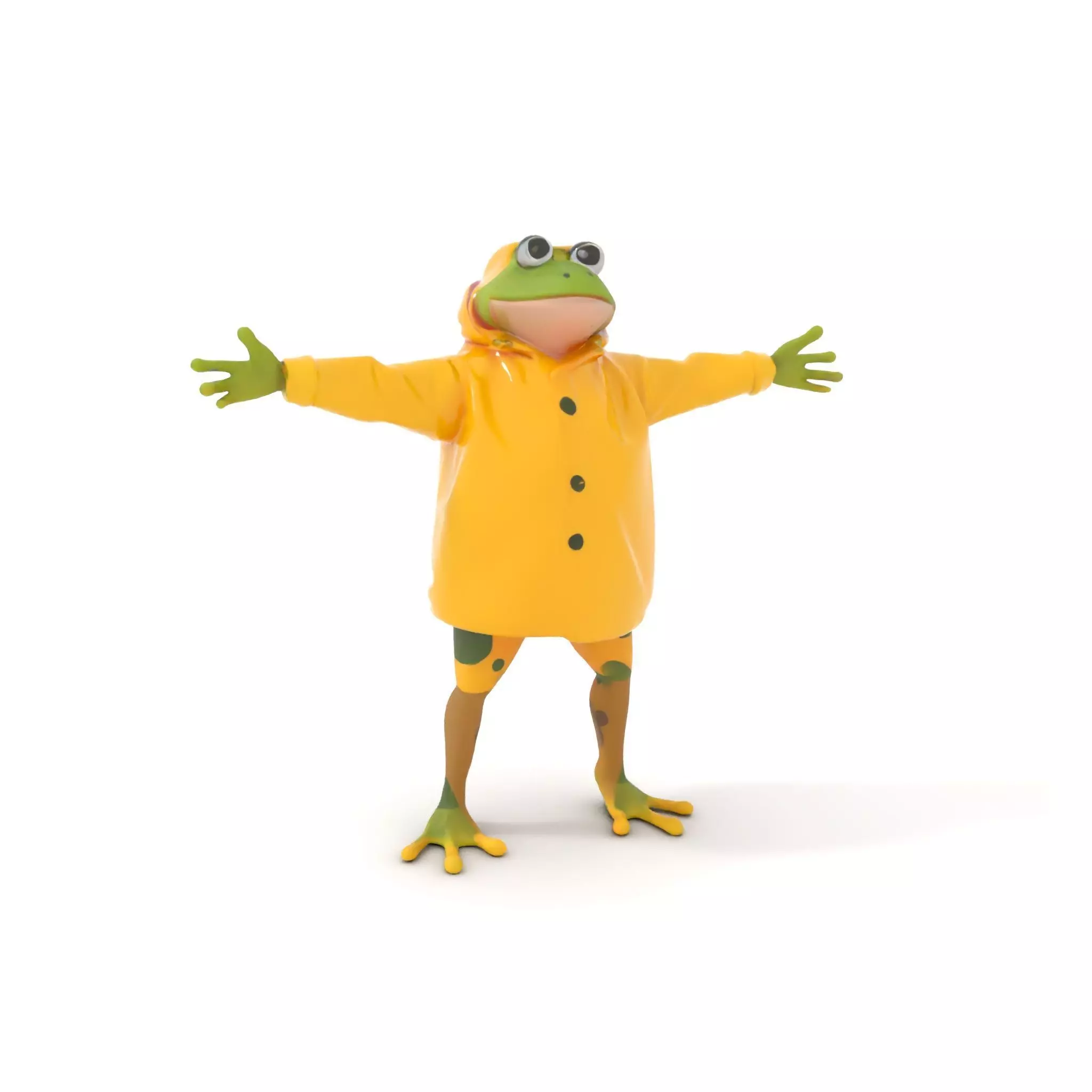Cheerful Frog Raincoat model pack Low-poly 3D model_0