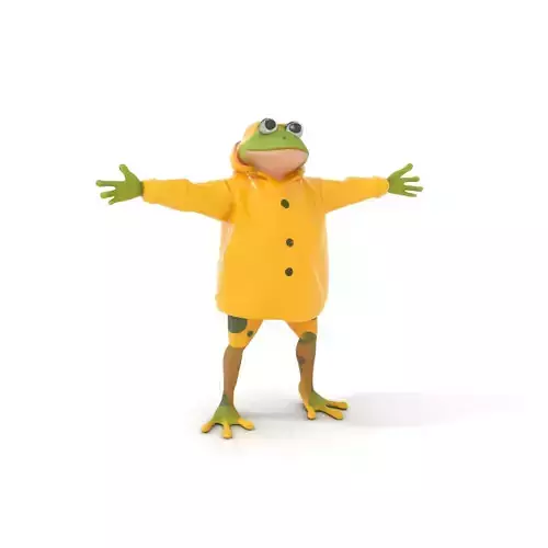 Cheerful Frog Raincoat model pack Low-poly 3D model