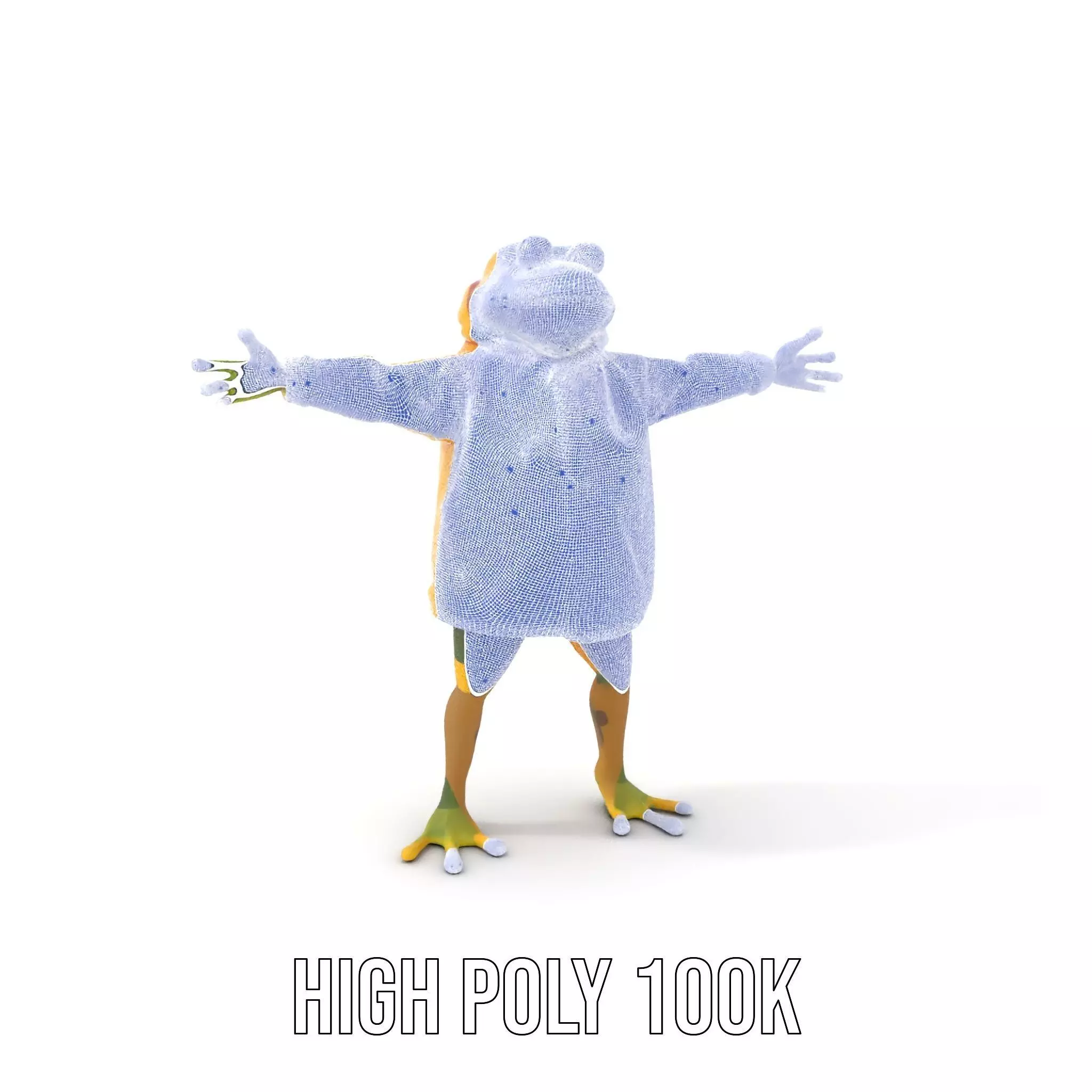 Cheerful Frog Raincoat model pack Low-poly 3D model_5