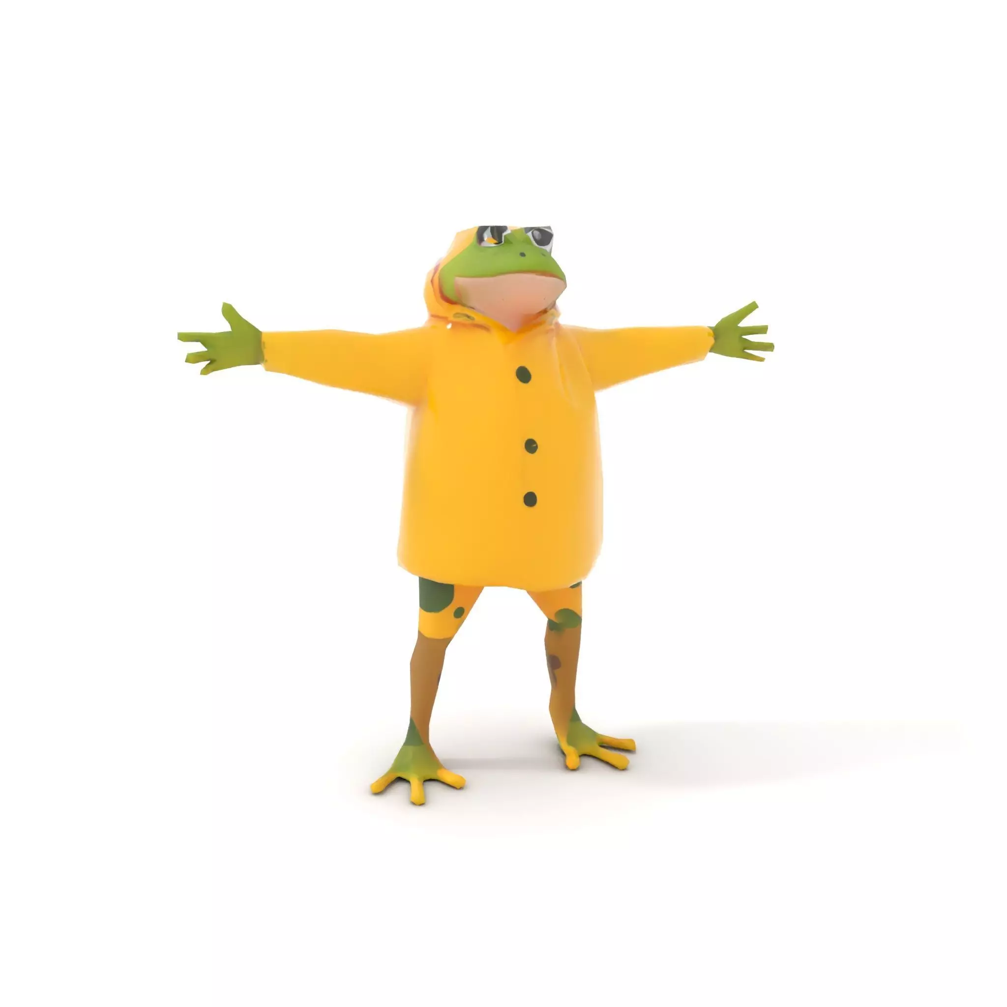 Cheerful Frog Raincoat model pack Low-poly 3D model_13