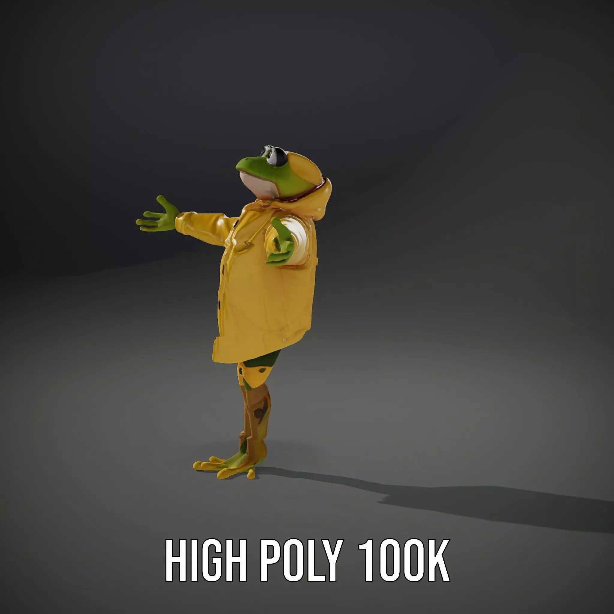 Cheerful Frog Raincoat model pack Low-poly 3D model_11