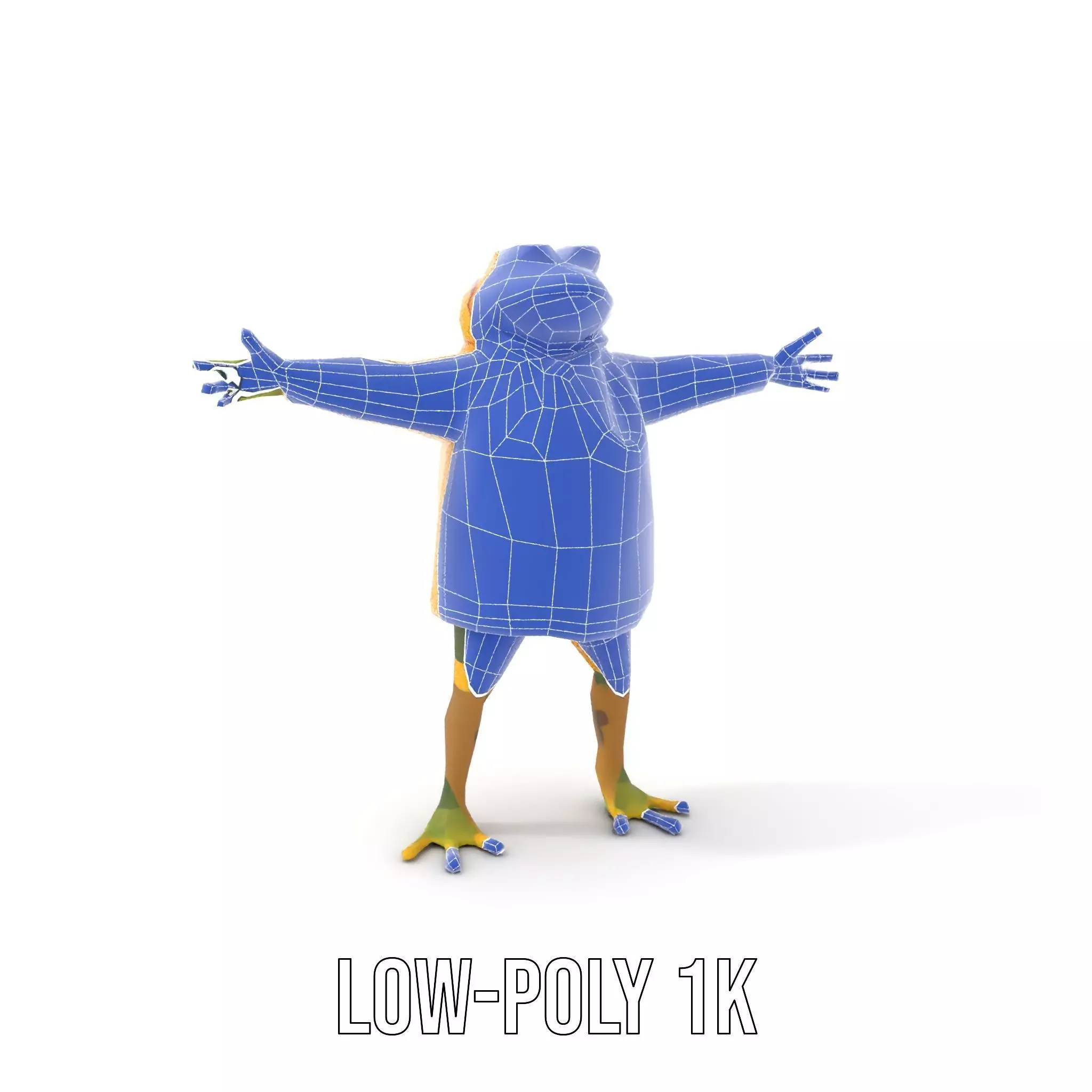 Cheerful Frog Raincoat model pack Low-poly 3D model_27