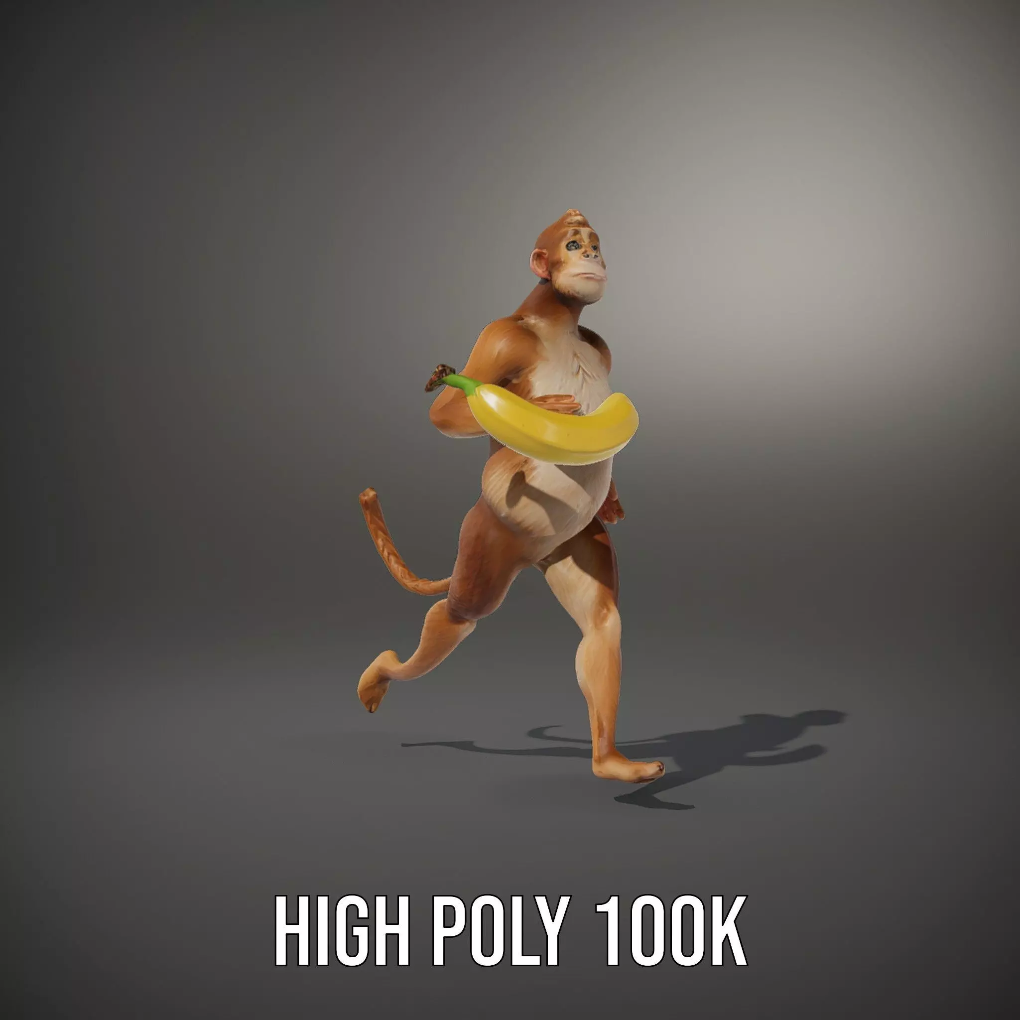 Cheerful Monkey Character model pack Low-poly 3D model_9