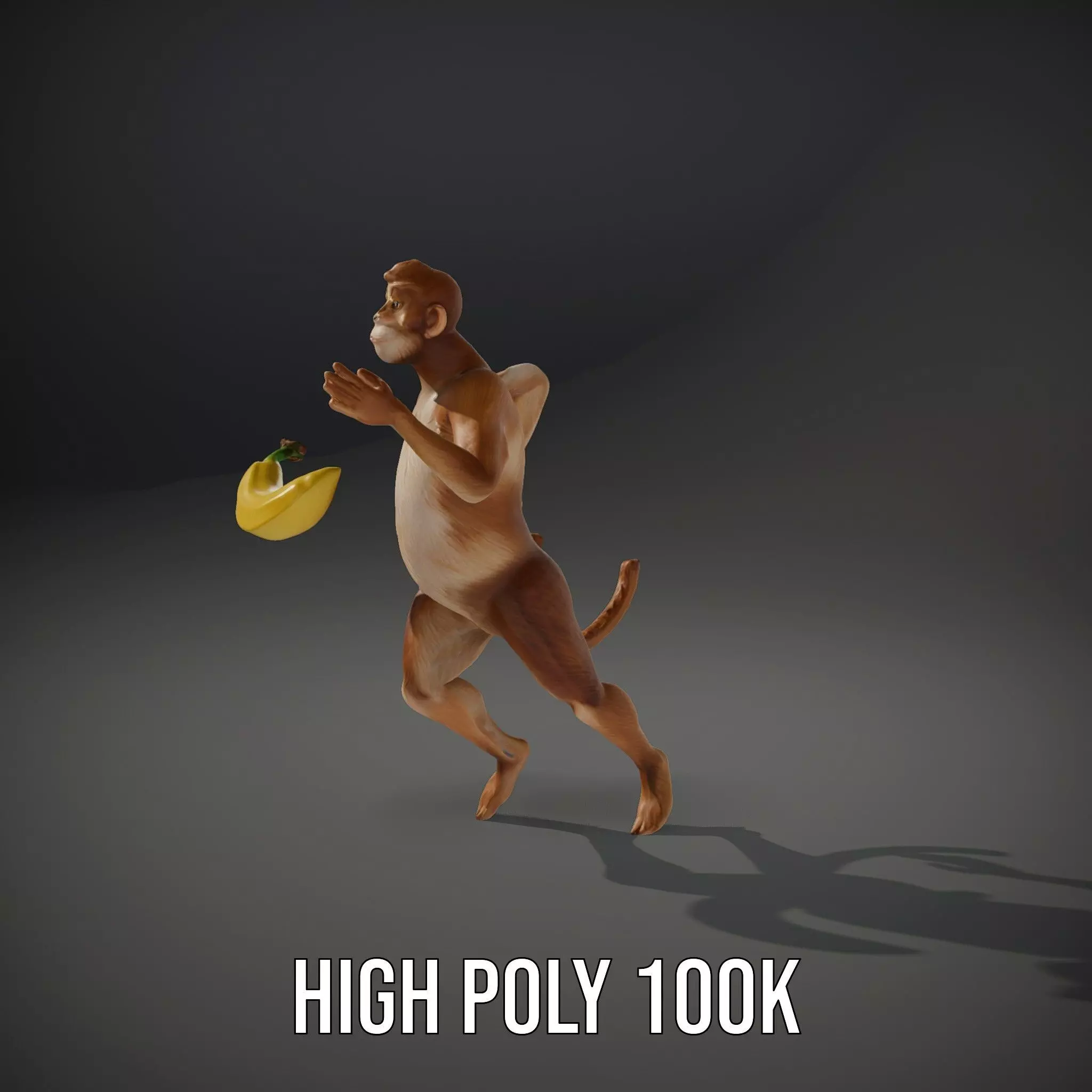 Cheerful Monkey Character model pack Low-poly 3D model_11