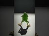 Green Frog Character model pack Low-poly 3D model_2