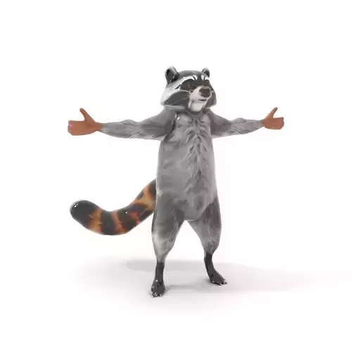 Grey Raccoon Fur model pack Low-poly 3D model