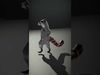 Grey Raccoon Fur model pack Low-poly 3D model_2