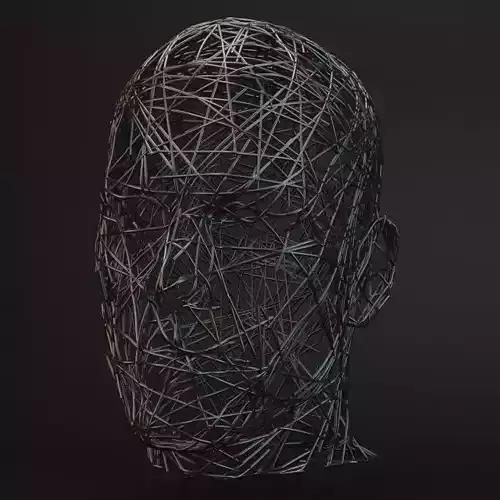 statue human head made of wires