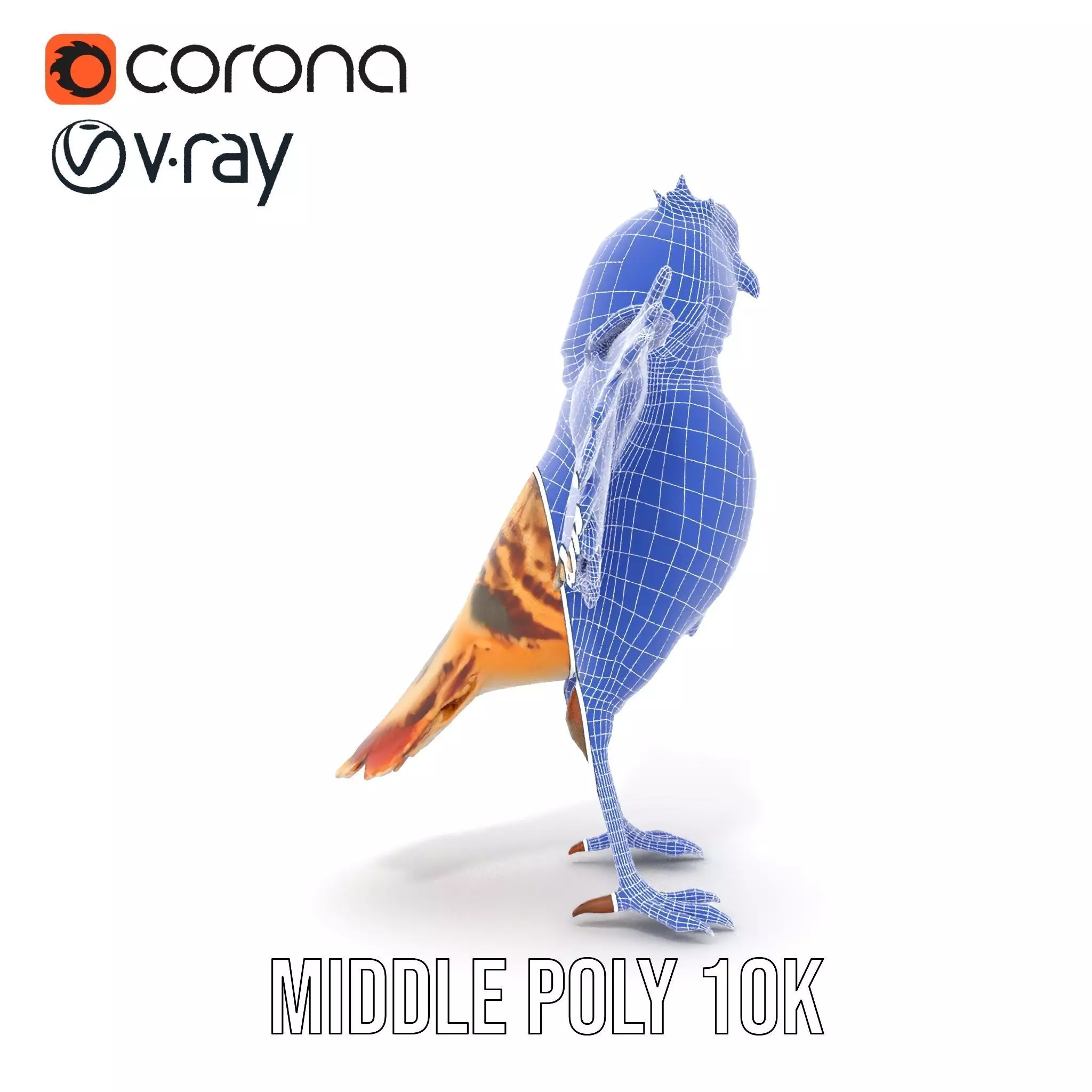 Vibrant Owl Wingspread model pack Low-poly 3D model_27