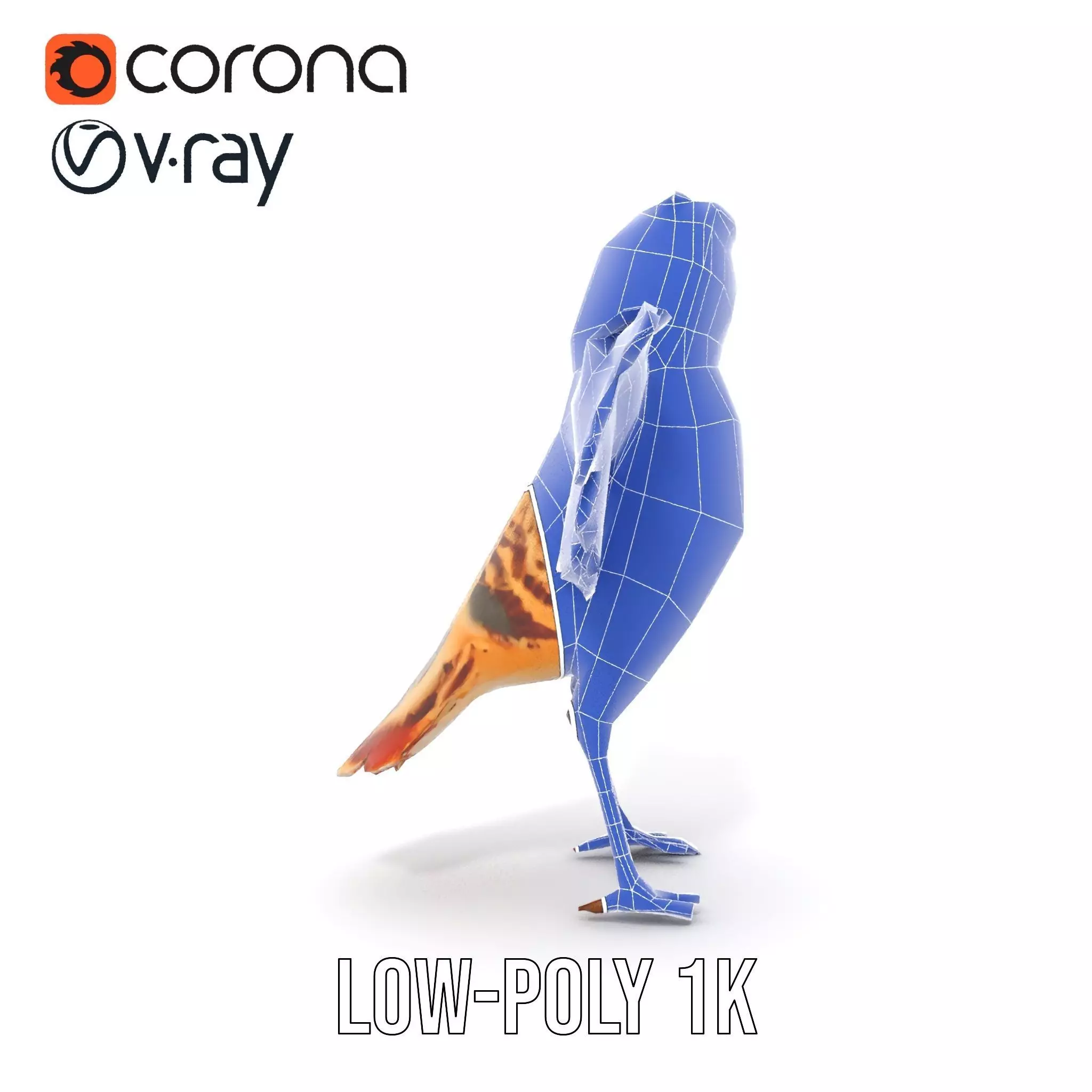 Vibrant Owl Wingspread model pack Low-poly 3D model_21