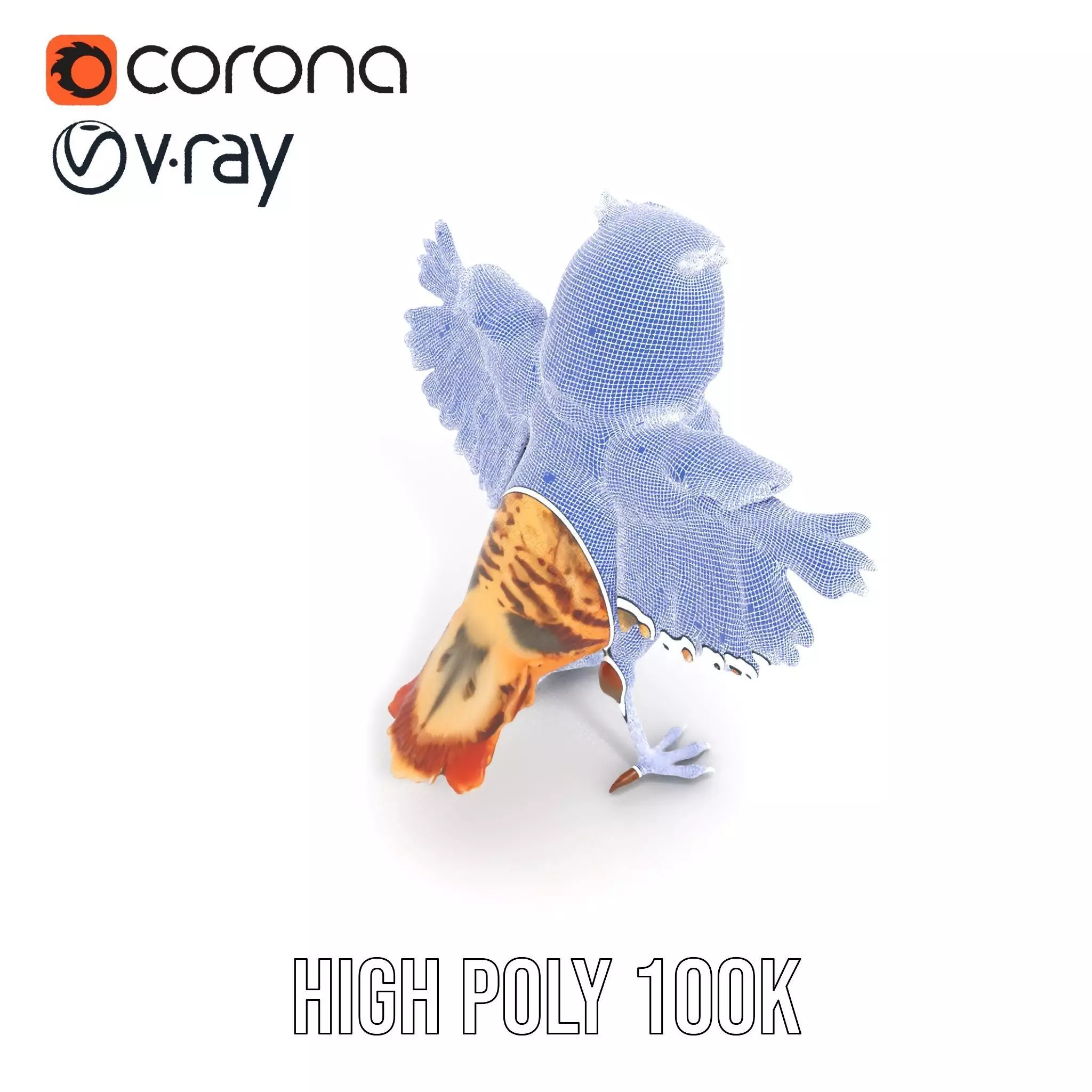 Vibrant Owl Wingspread model pack Low-poly 3D model_32