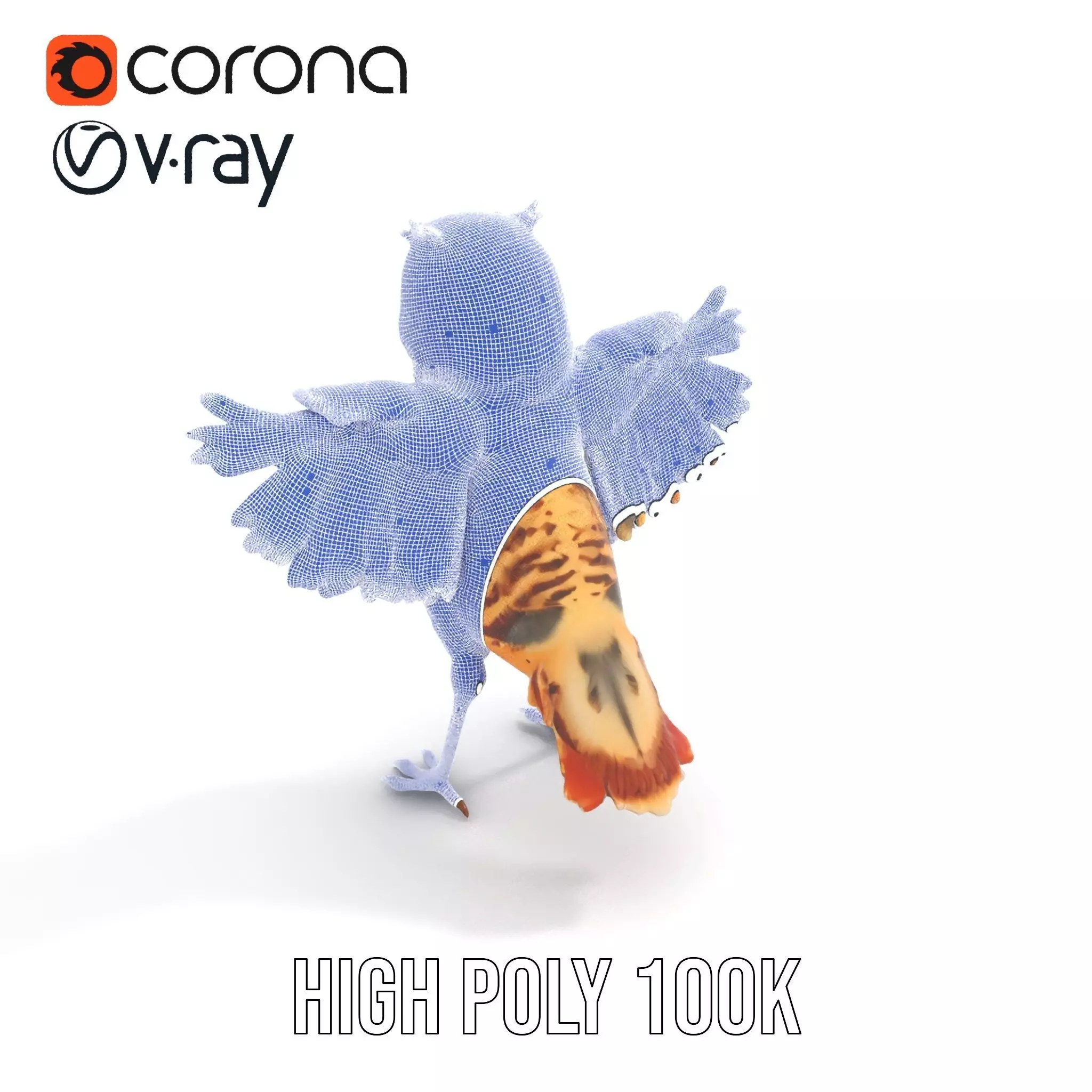 Vibrant Owl Wingspread model pack Low-poly 3D model_33