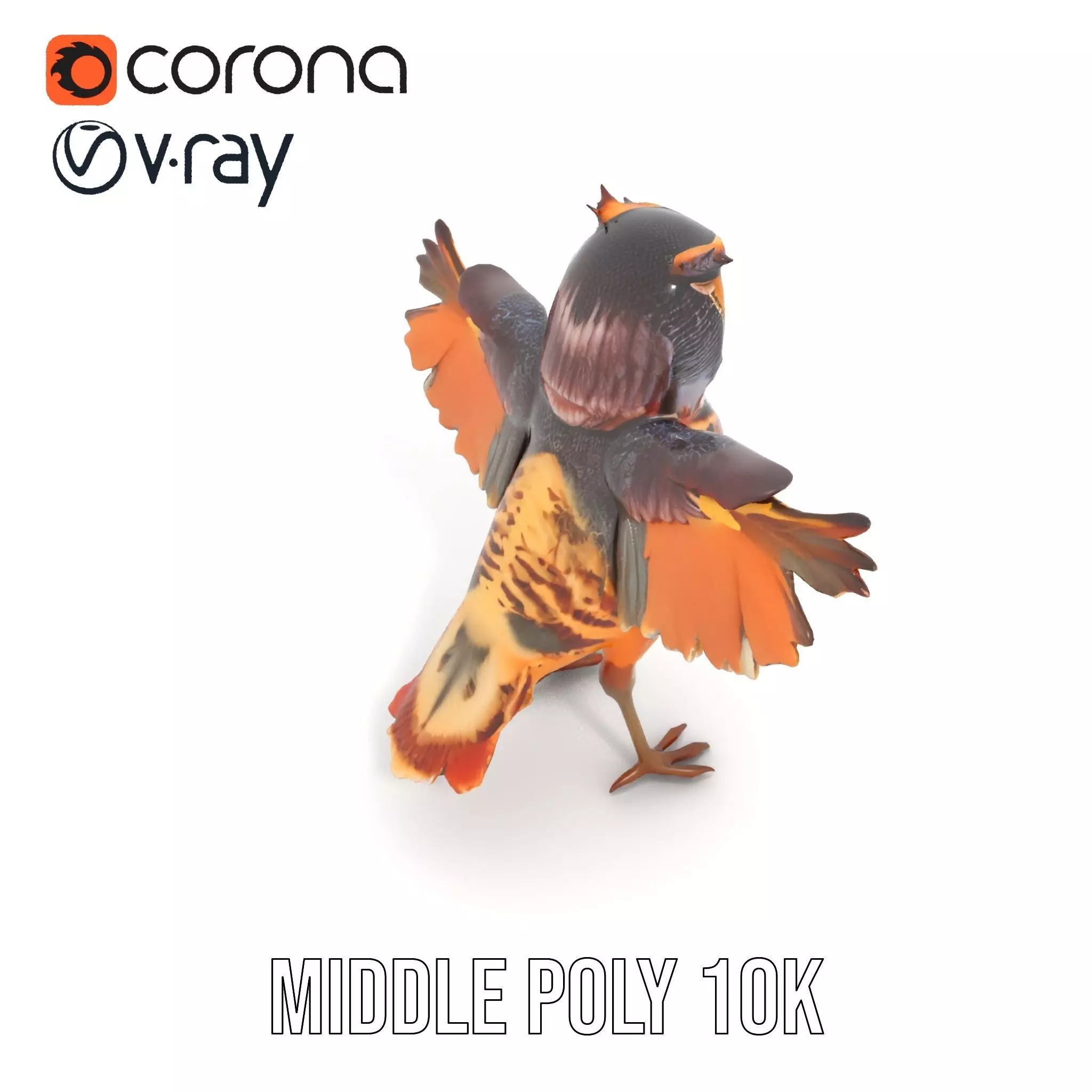 Vibrant Owl Wingspread model pack Low-poly 3D model_25