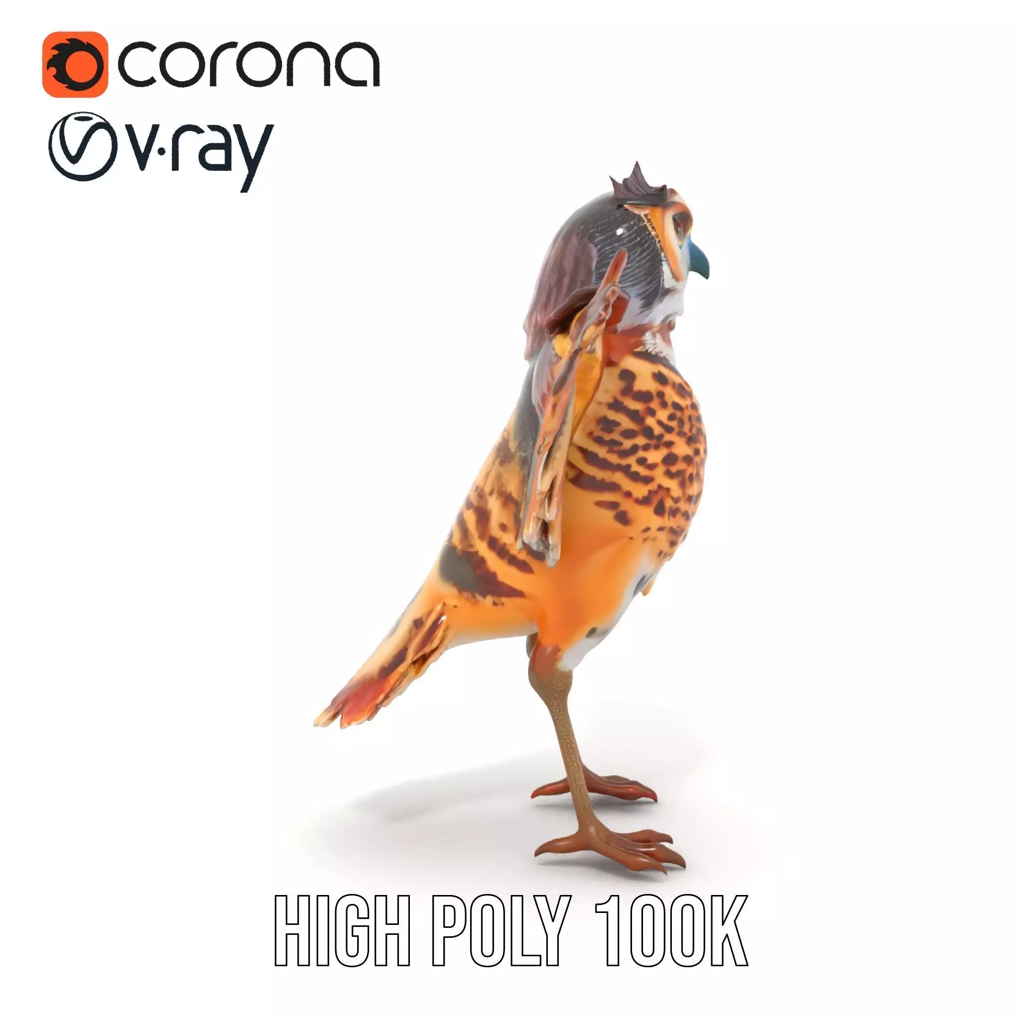 Vibrant Owl Wingspread model pack Low-poly 3D model_29