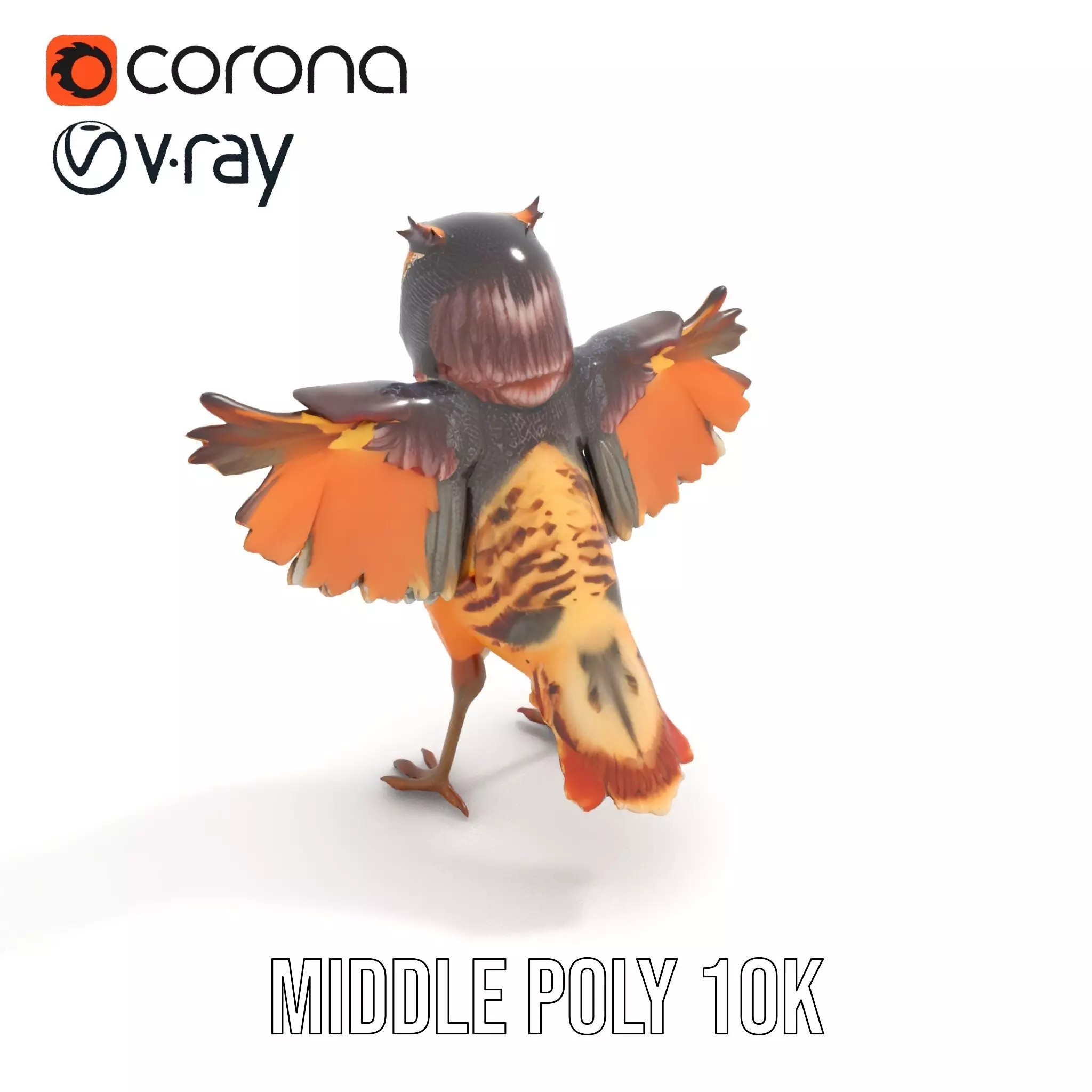 Vibrant Owl Wingspread model pack Low-poly 3D model_6