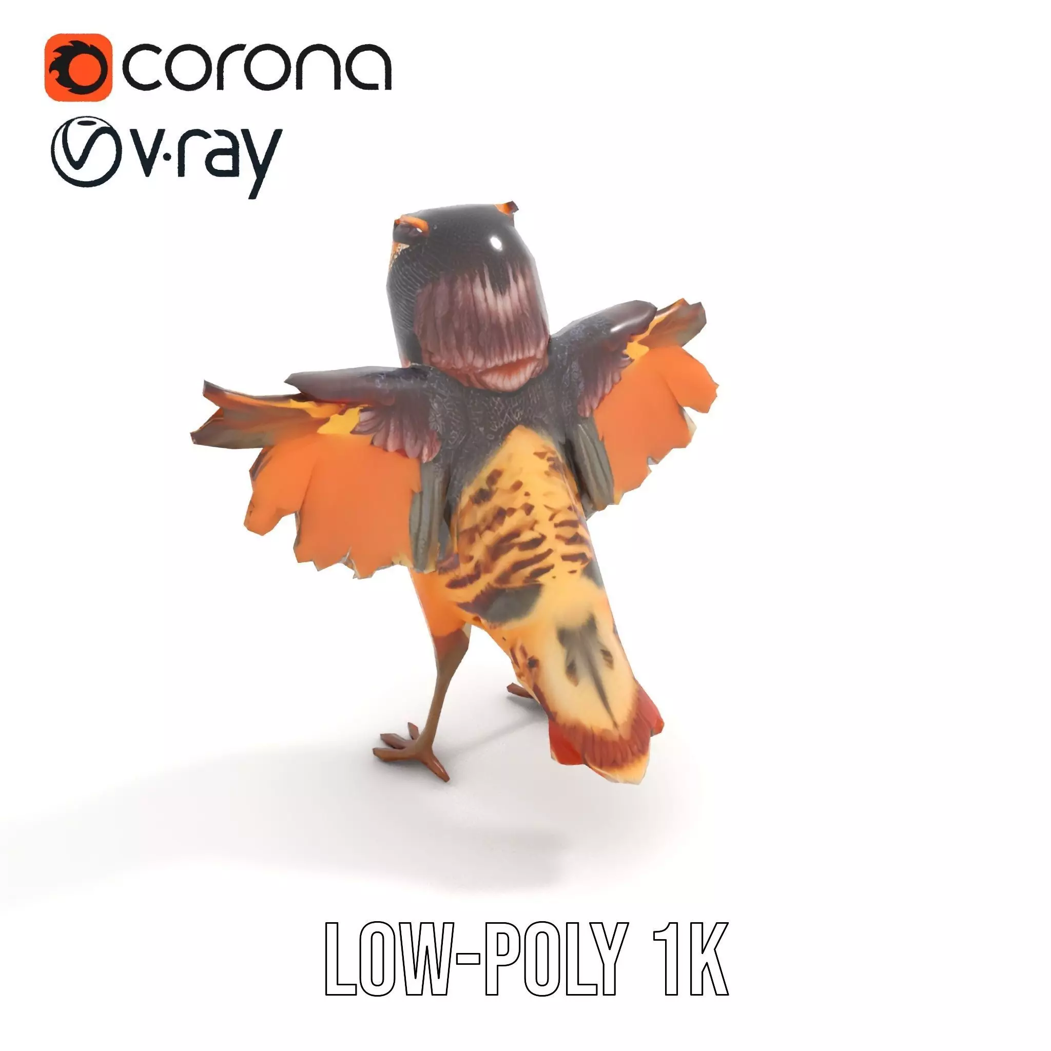 Vibrant Owl Wingspread model pack Low-poly 3D model_9