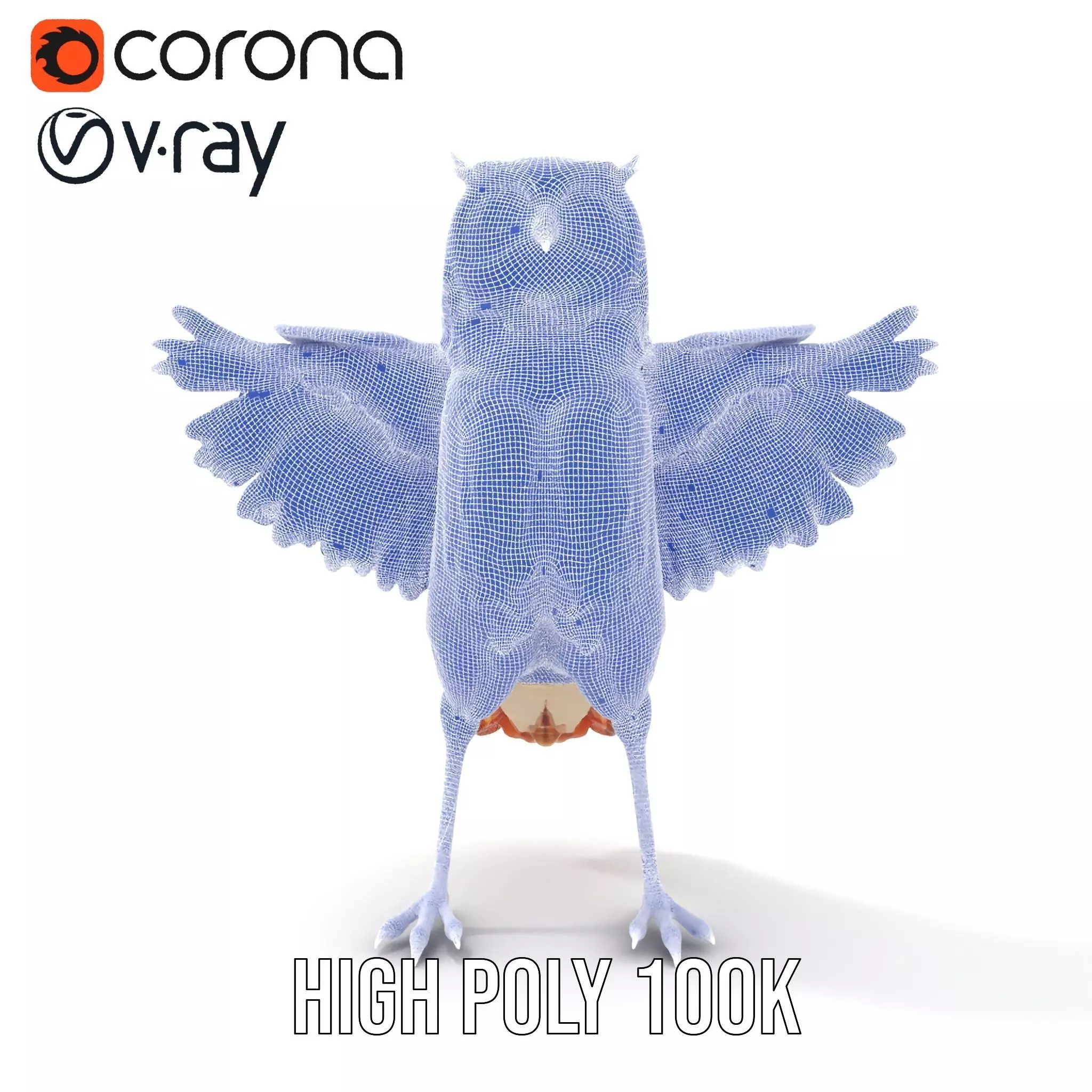 Vibrant Owl Wingspread model pack Low-poly 3D model_35