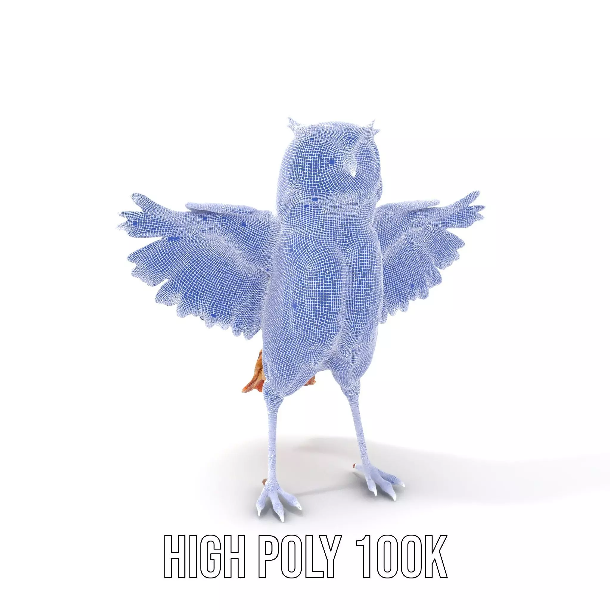 Vibrant Owl Wingspread model pack Low-poly 3D model_5