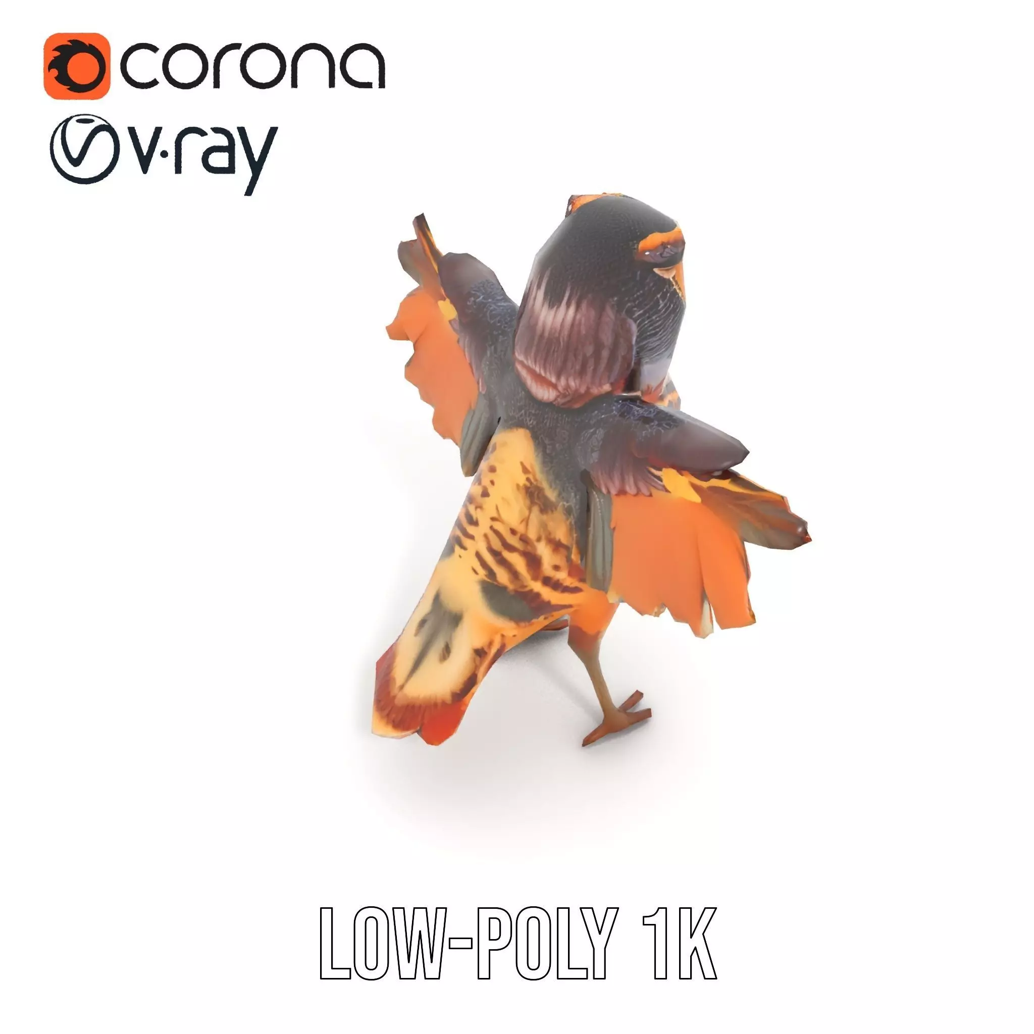 Vibrant Owl Wingspread model pack Low-poly 3D model_12