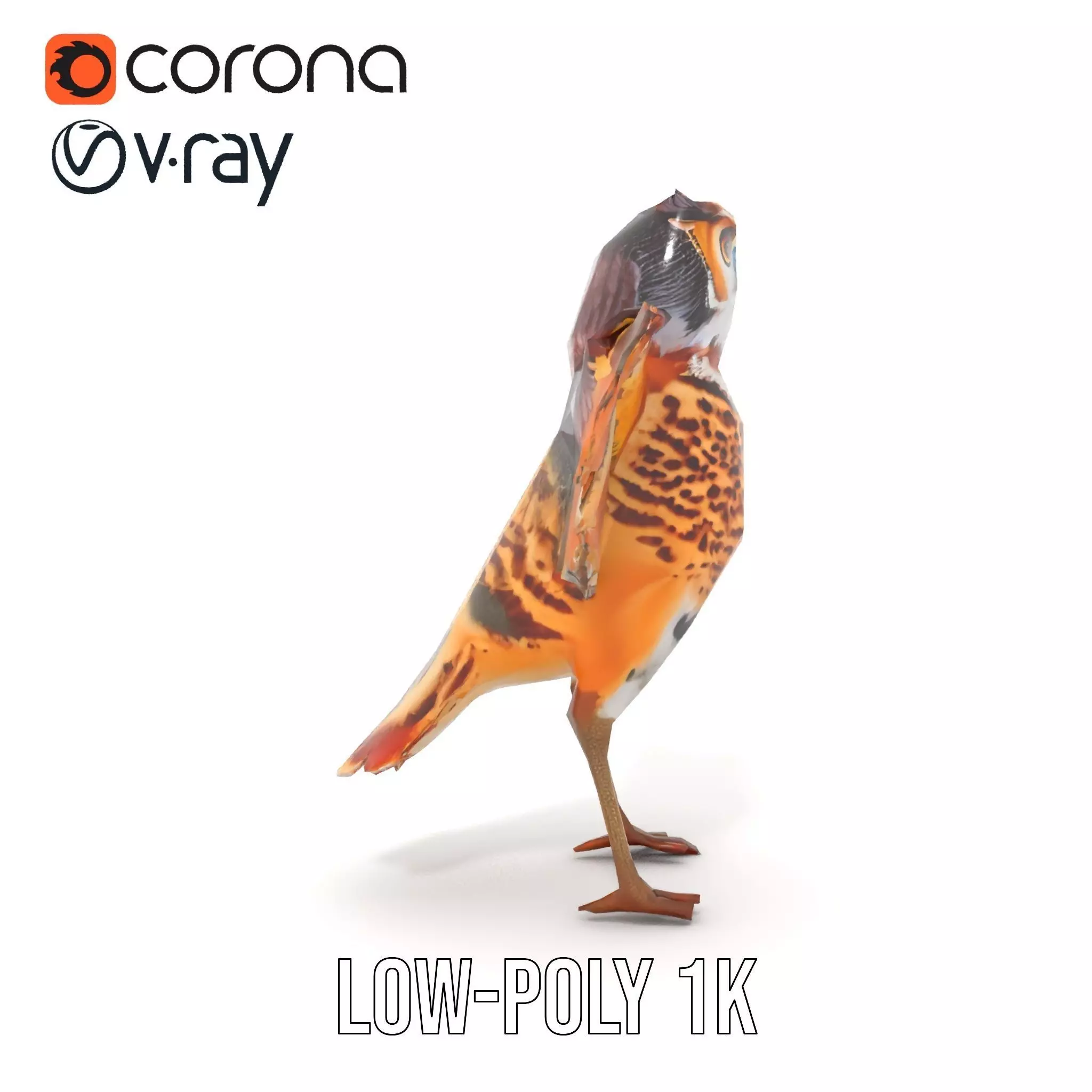 Vibrant Owl Wingspread model pack Low-poly 3D model_28
