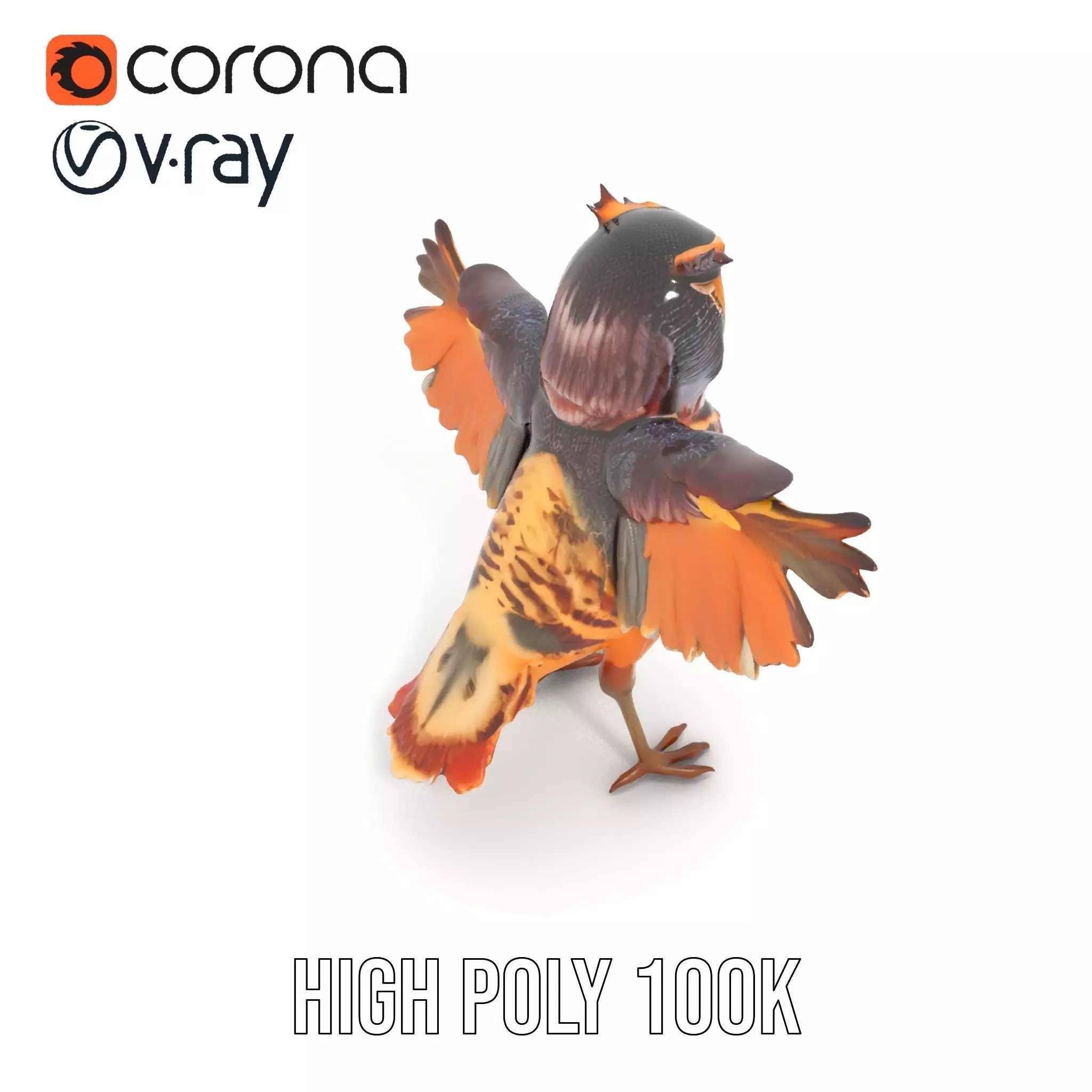 Vibrant Owl Wingspread model pack Low-poly 3D model_22
