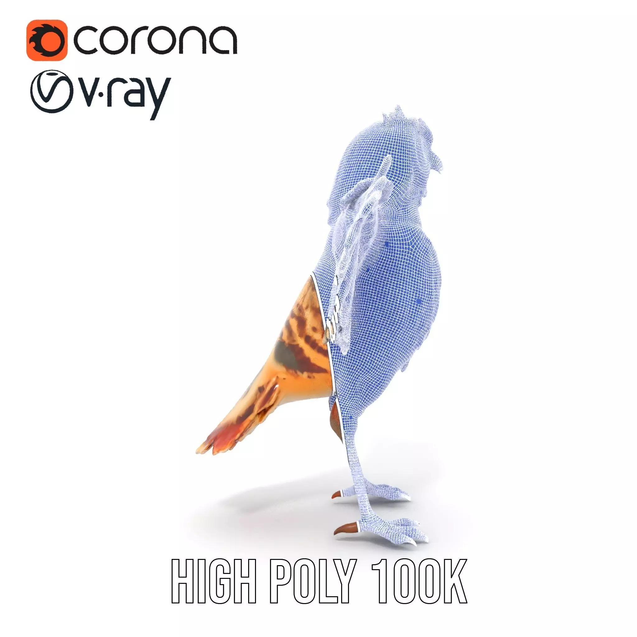 Vibrant Owl Wingspread model pack Low-poly 3D model_34