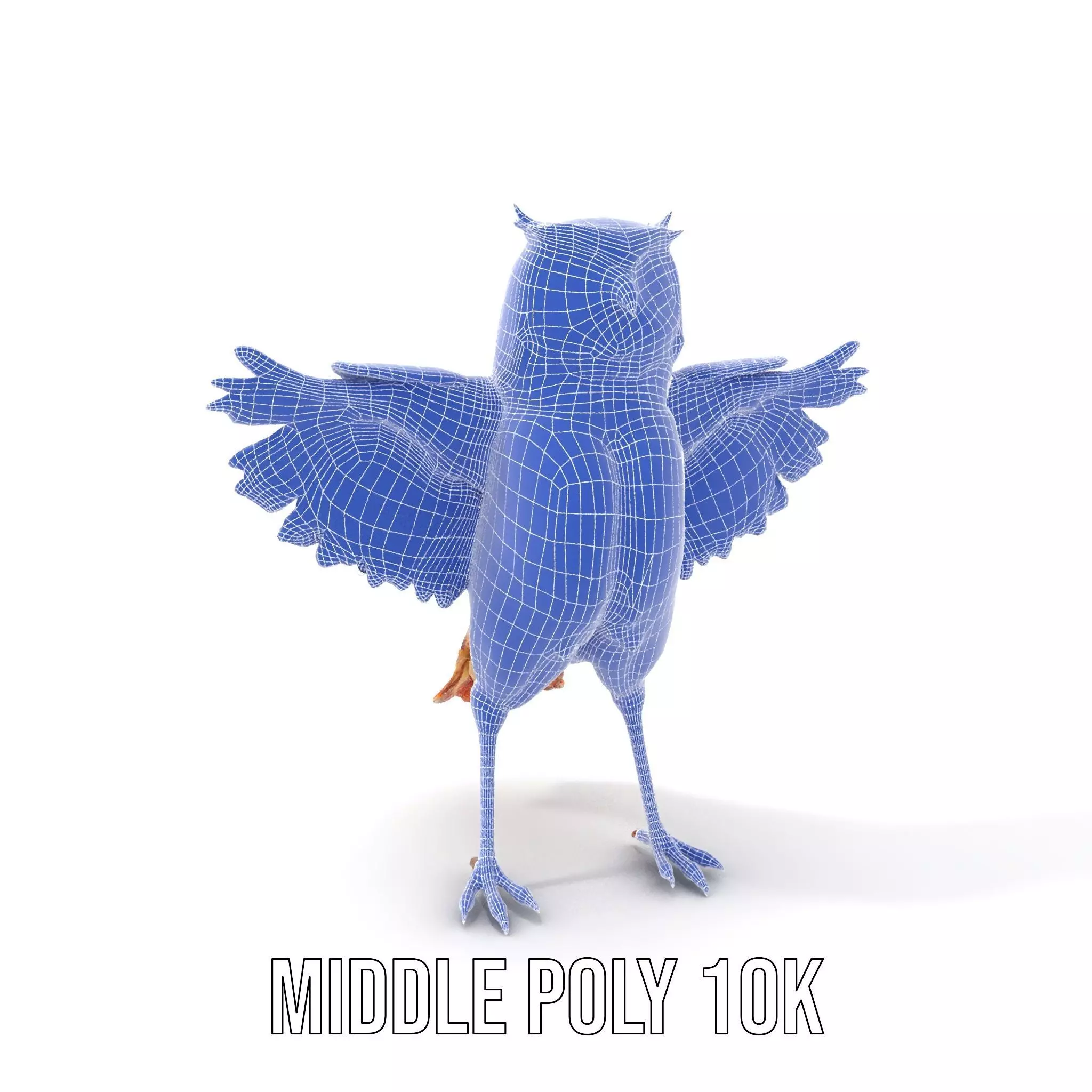 Vibrant Owl Wingspread model pack Low-poly 3D model_7