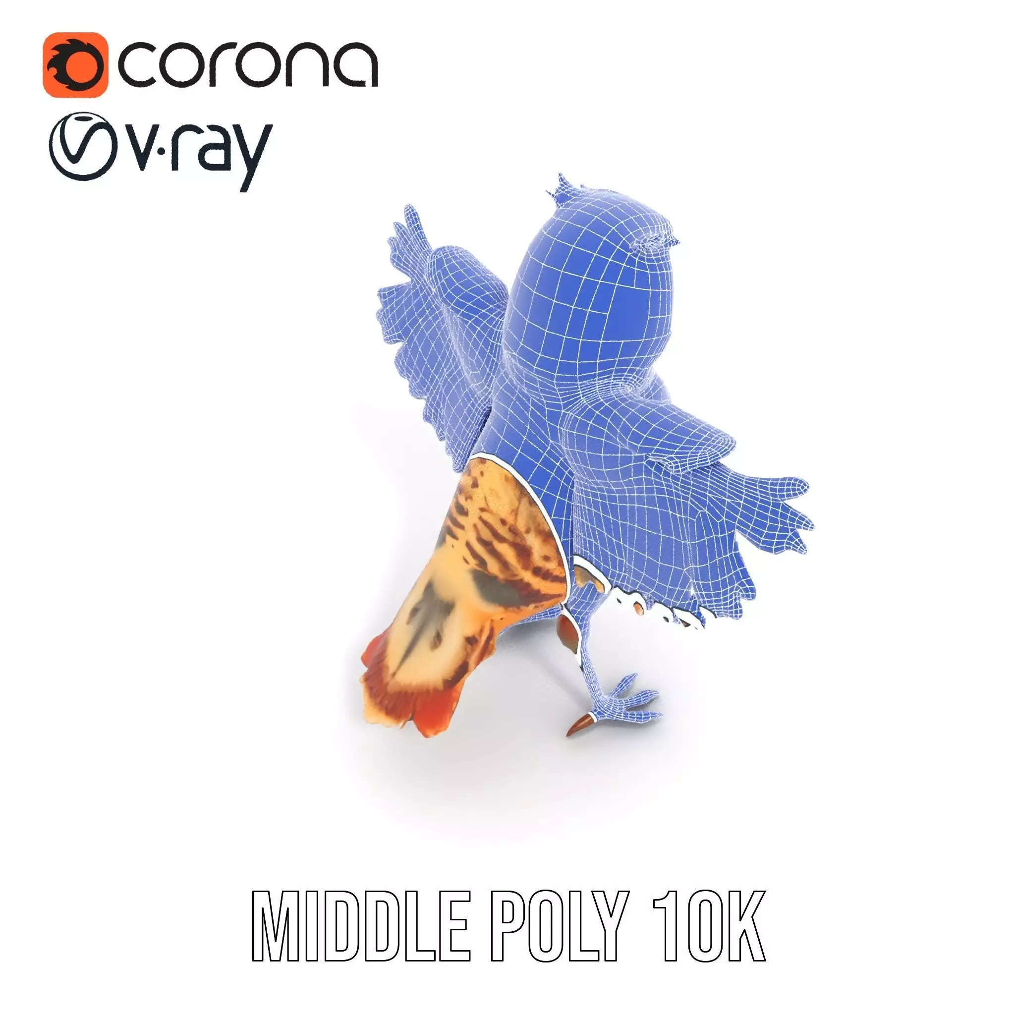 Vibrant Owl Wingspread model pack Low-poly 3D model_11
