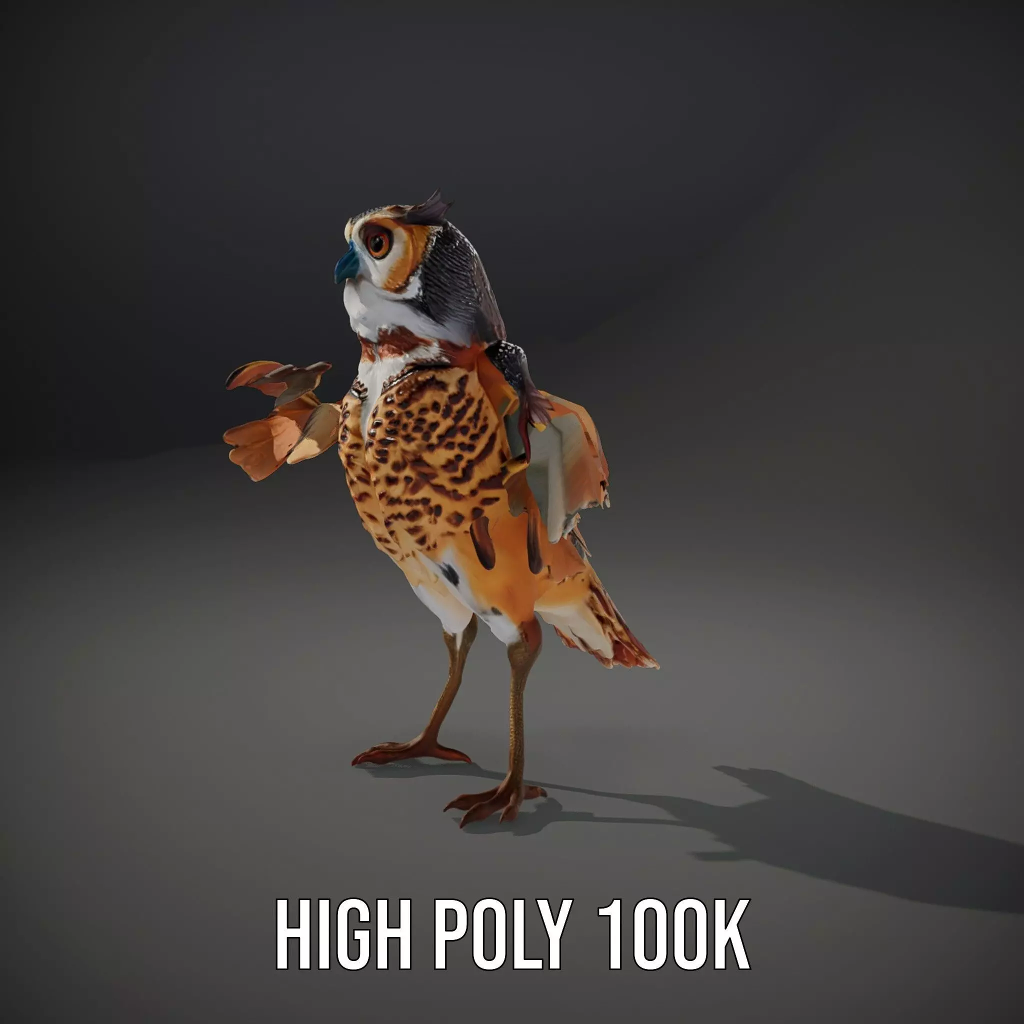 Vibrant Owl Wingspread model pack Low-poly 3D model_10